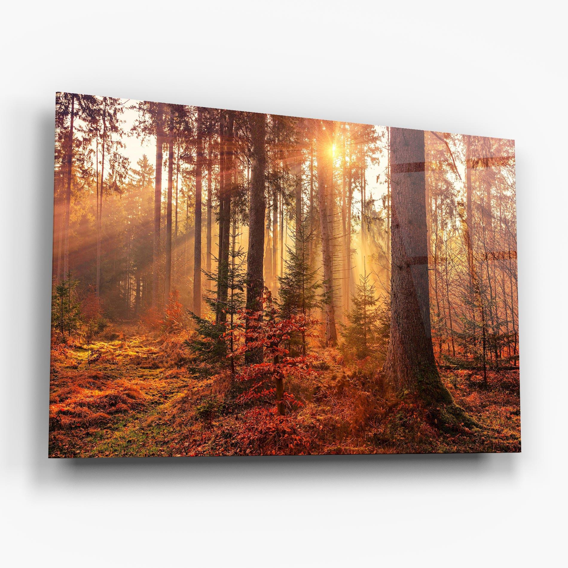 Tablou Sticla Orange Light Forest mockup 6