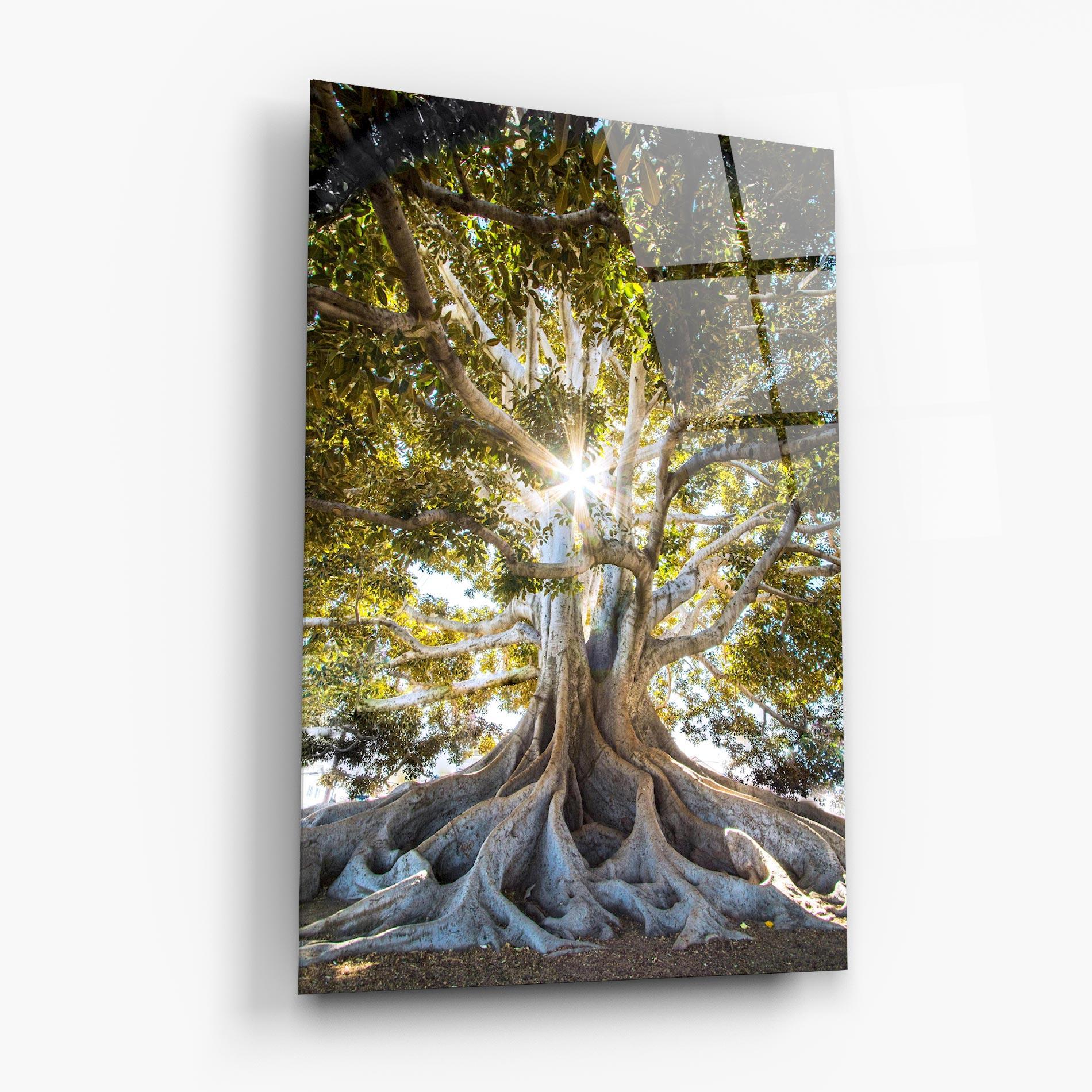 Tablou Sticla Big Old Tree mockup 6