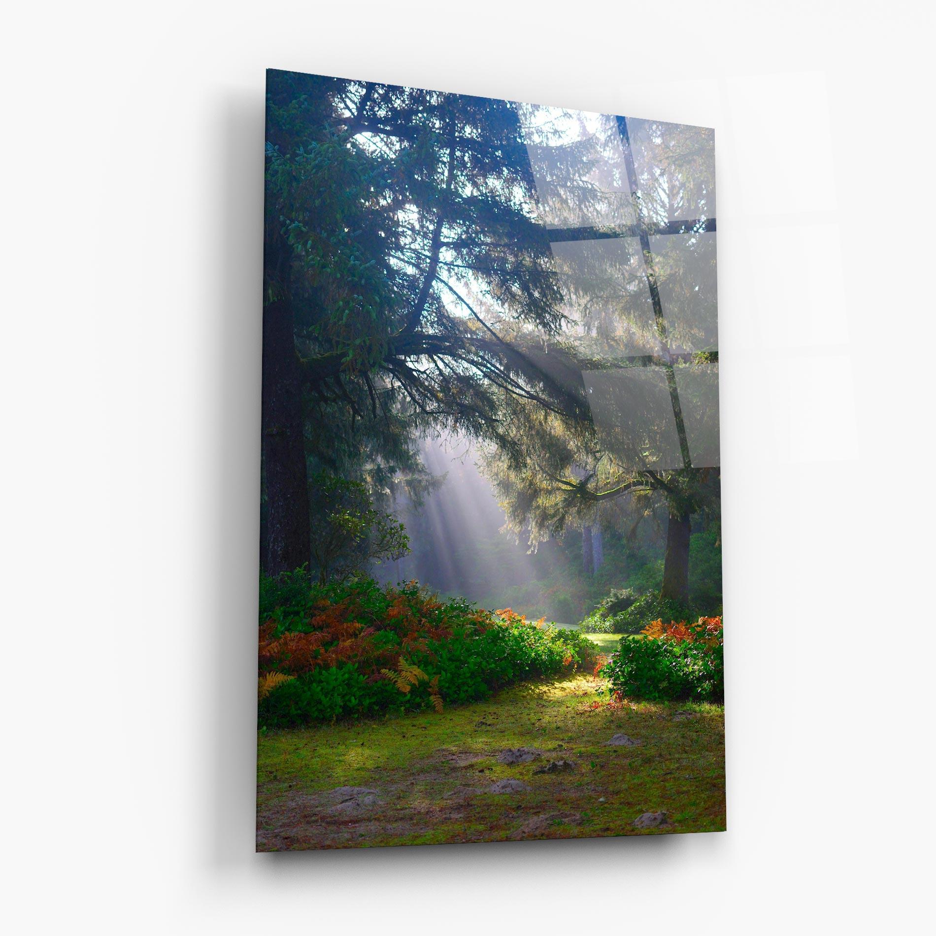 Tablou Sticla Forest Light mockup 6