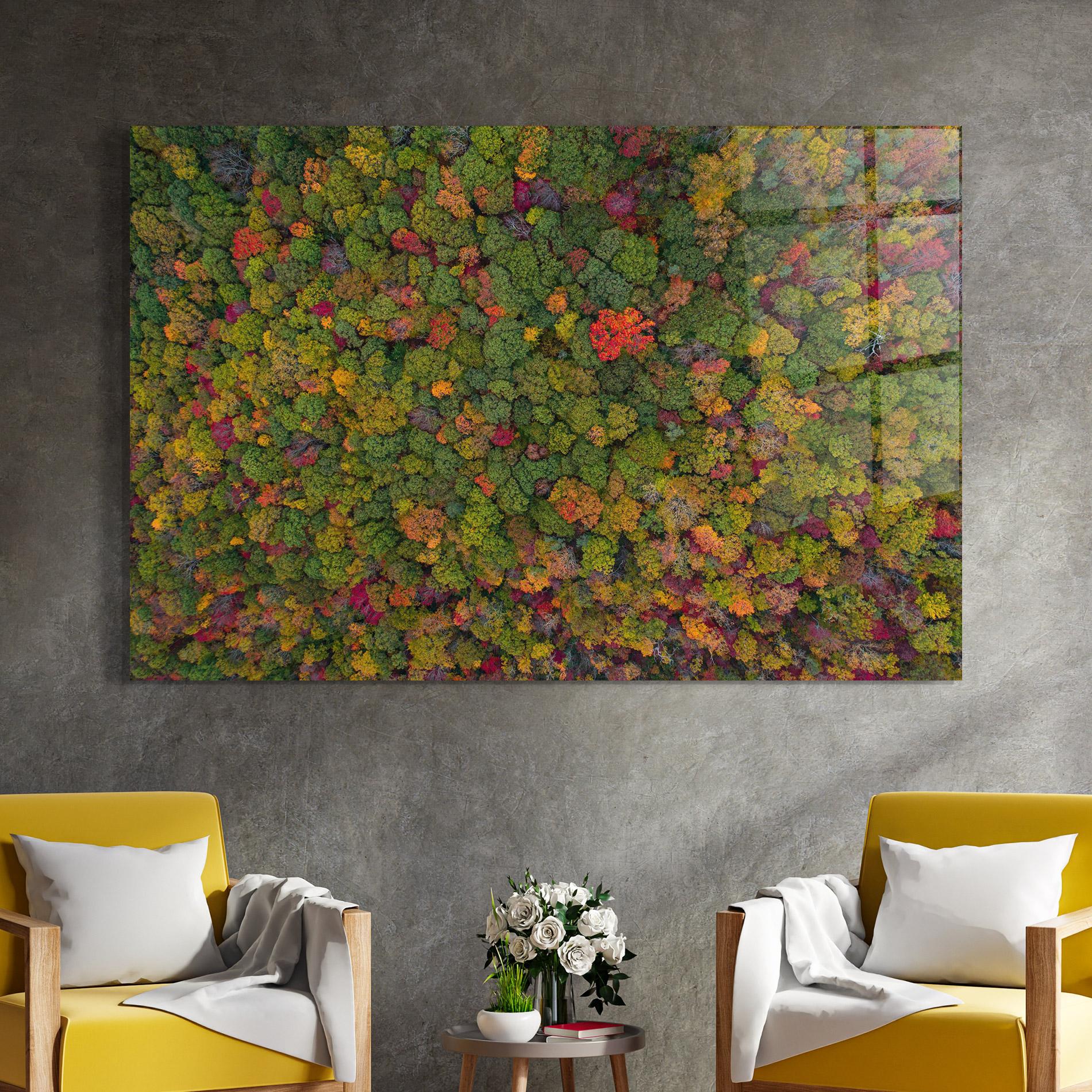 Tablou Sticla Color Mix Forest mockup 4