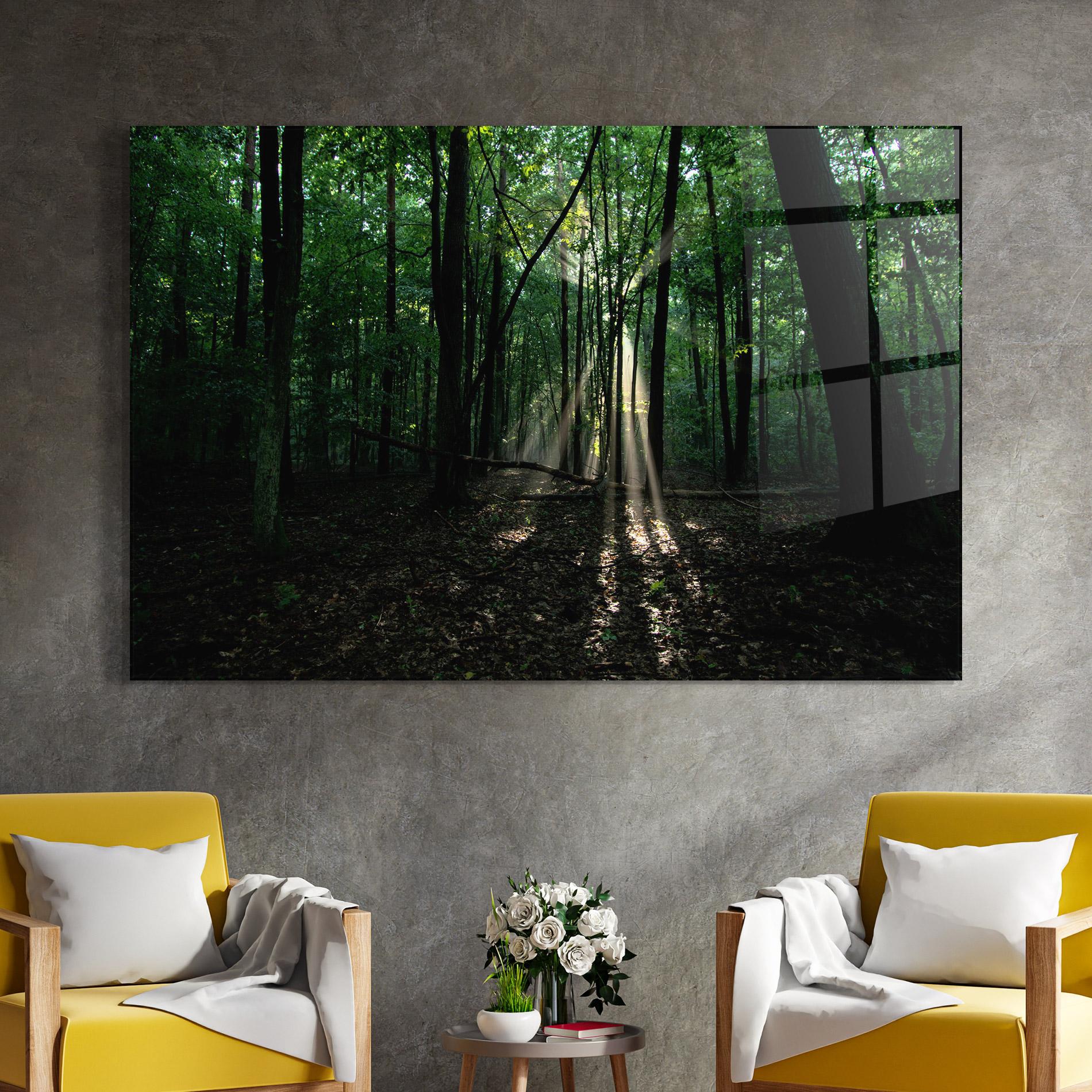 Tablou Sticla Forest Sun Light mockup 4