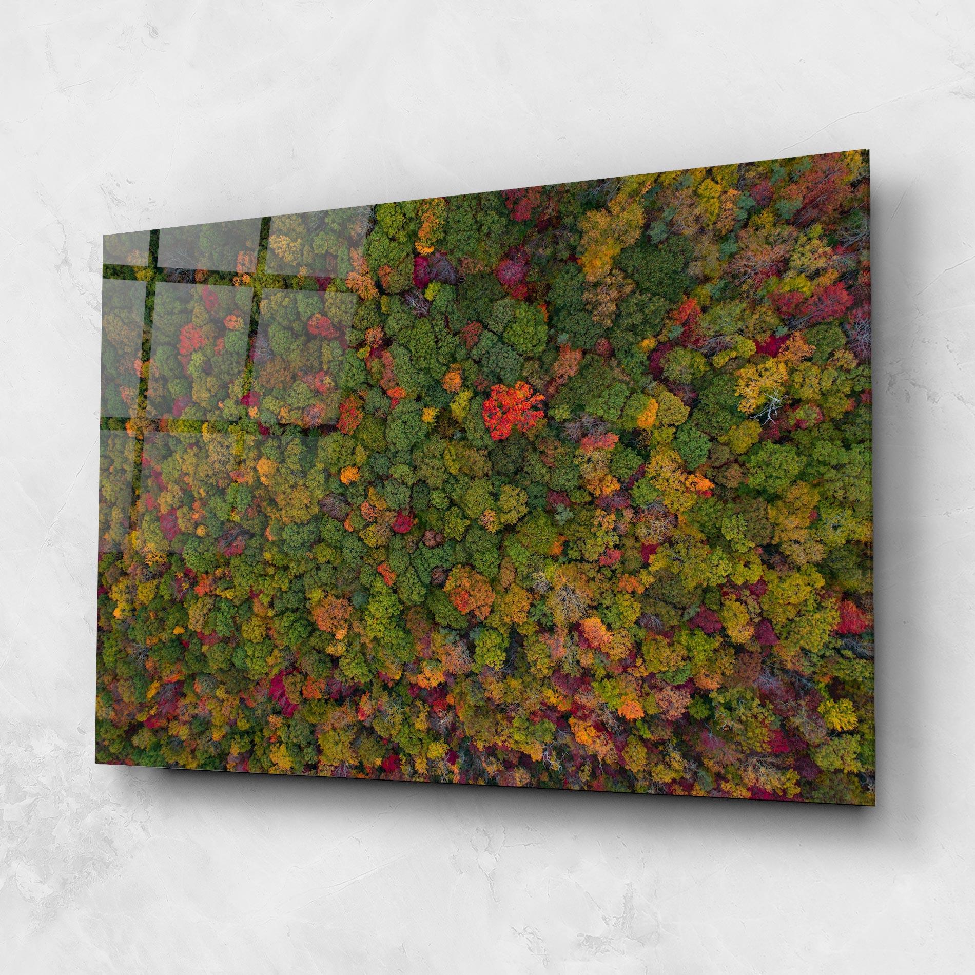 Tablou Sticla Color Mix Forest mockup 1