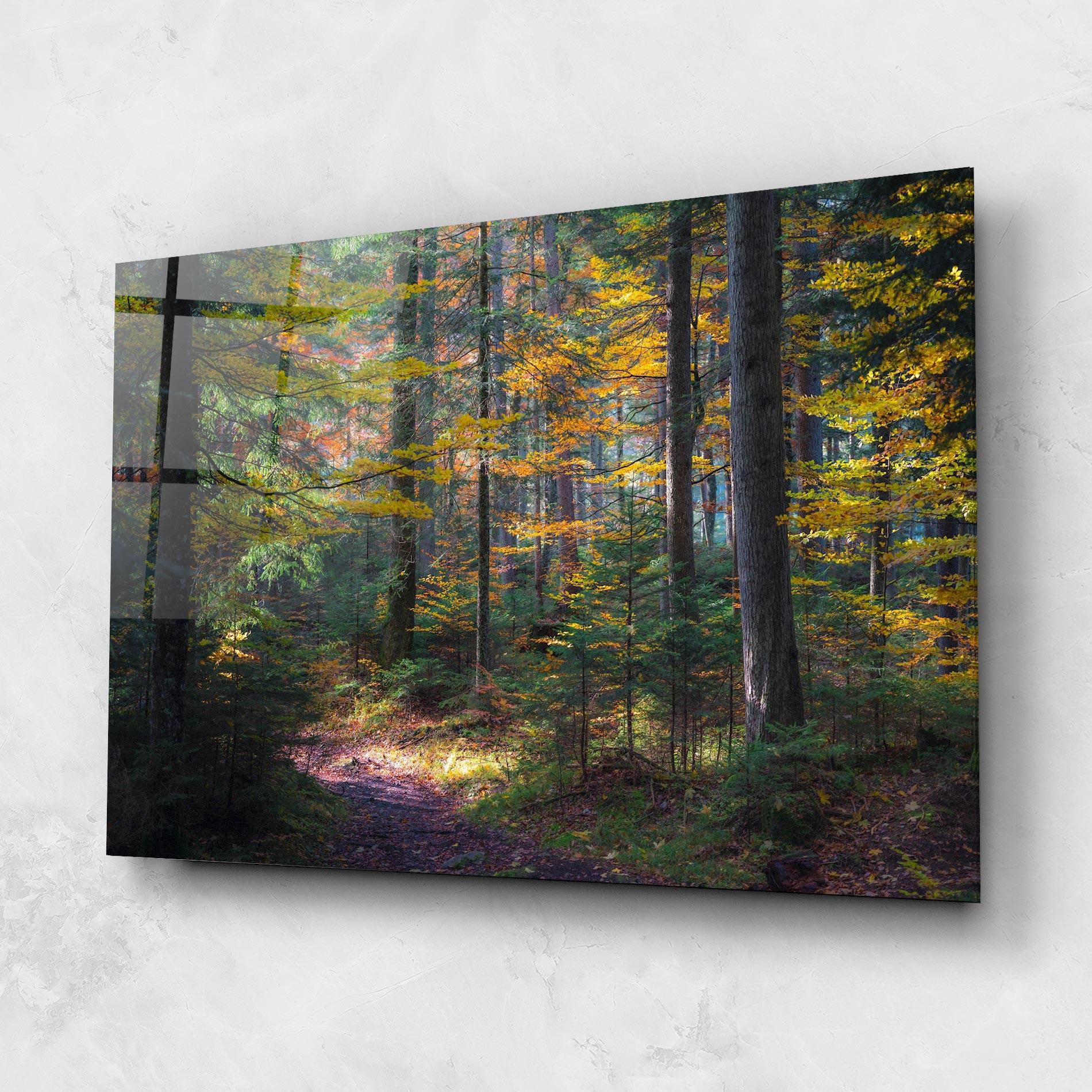 Tablou Sticla Dreamy Path Dorest mockup 1