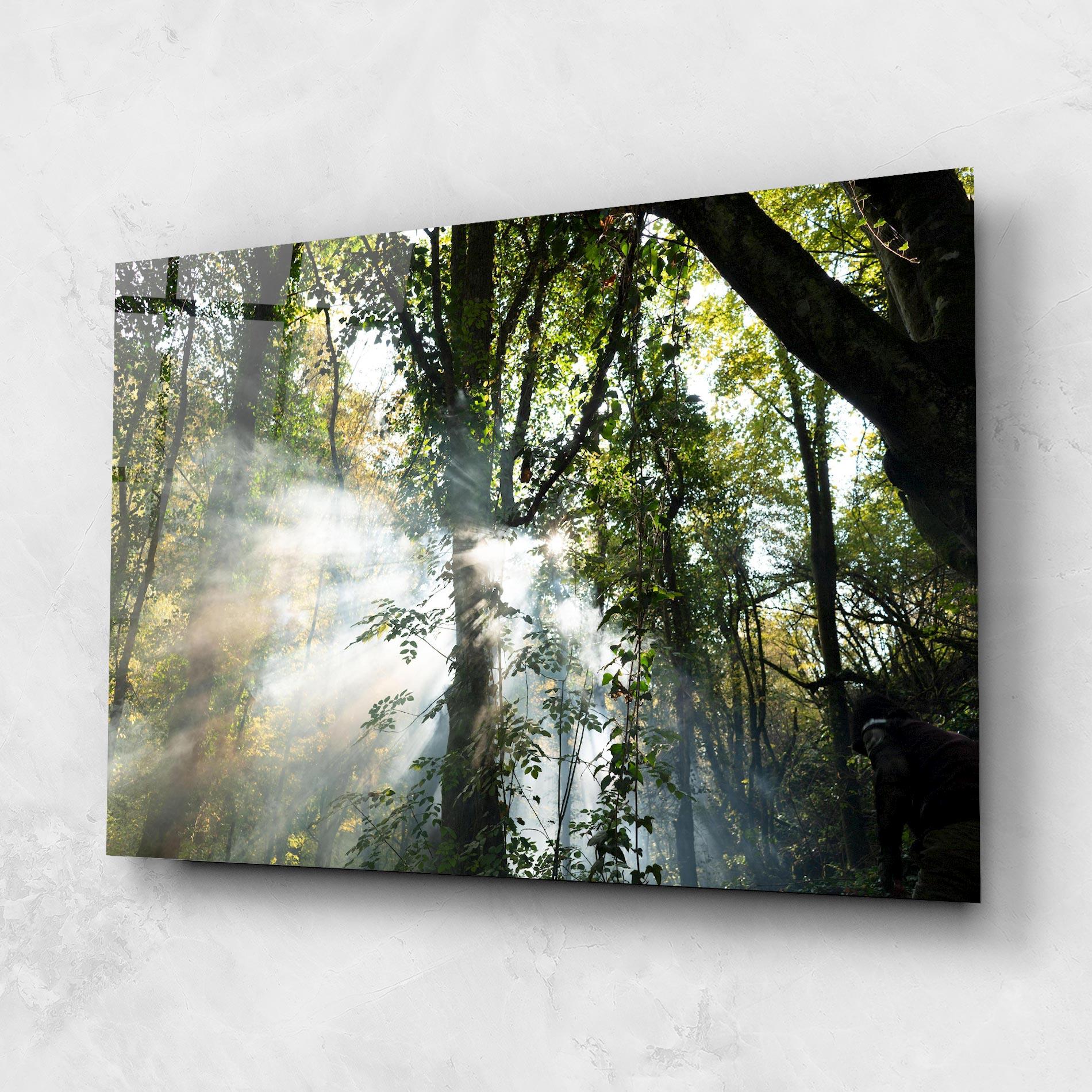 Tablou Sticla Foggy Light Forest mockup 1