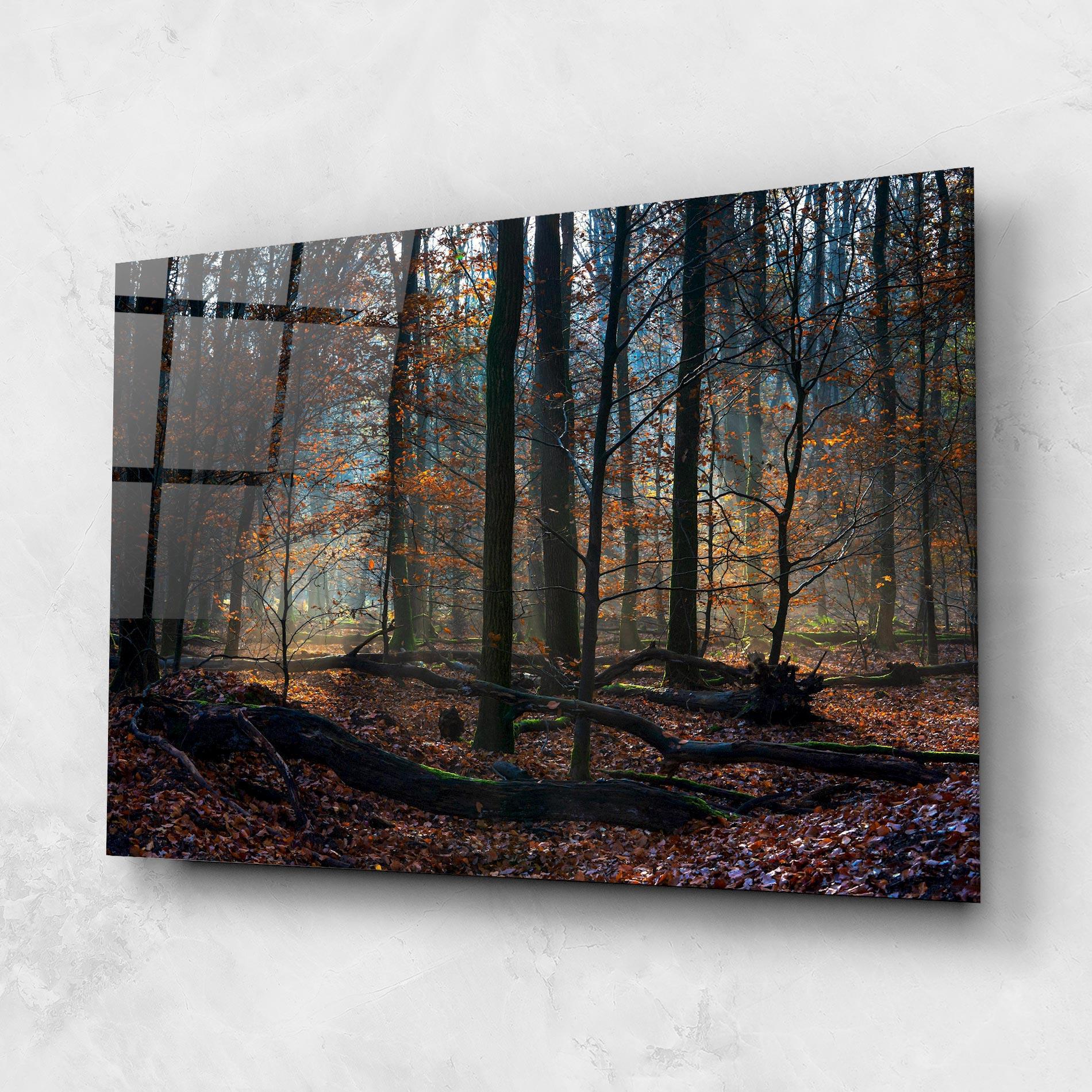 Tablou Sticla Forest Autumn Day mockup 1