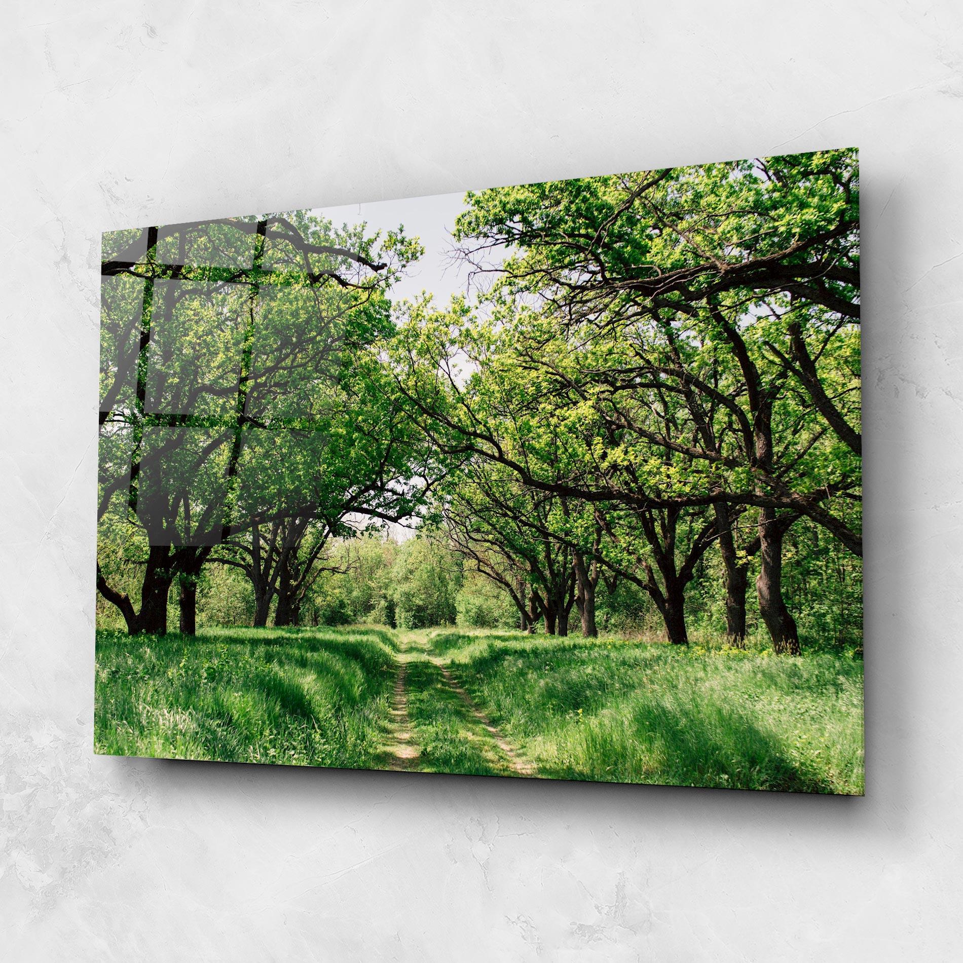 Tablou Sticla Forest Green Path mockup 1