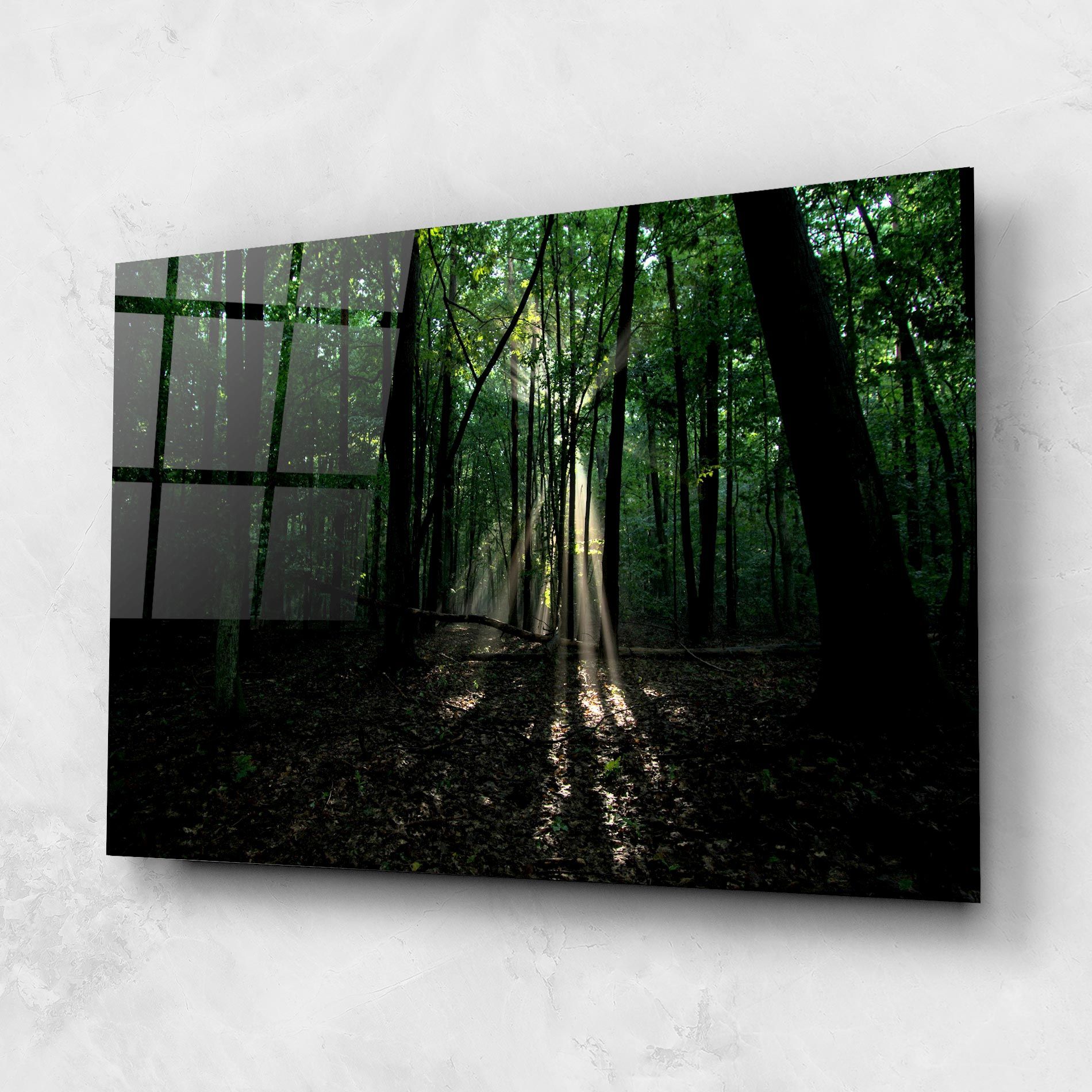 Forest Sun Light mockup 1