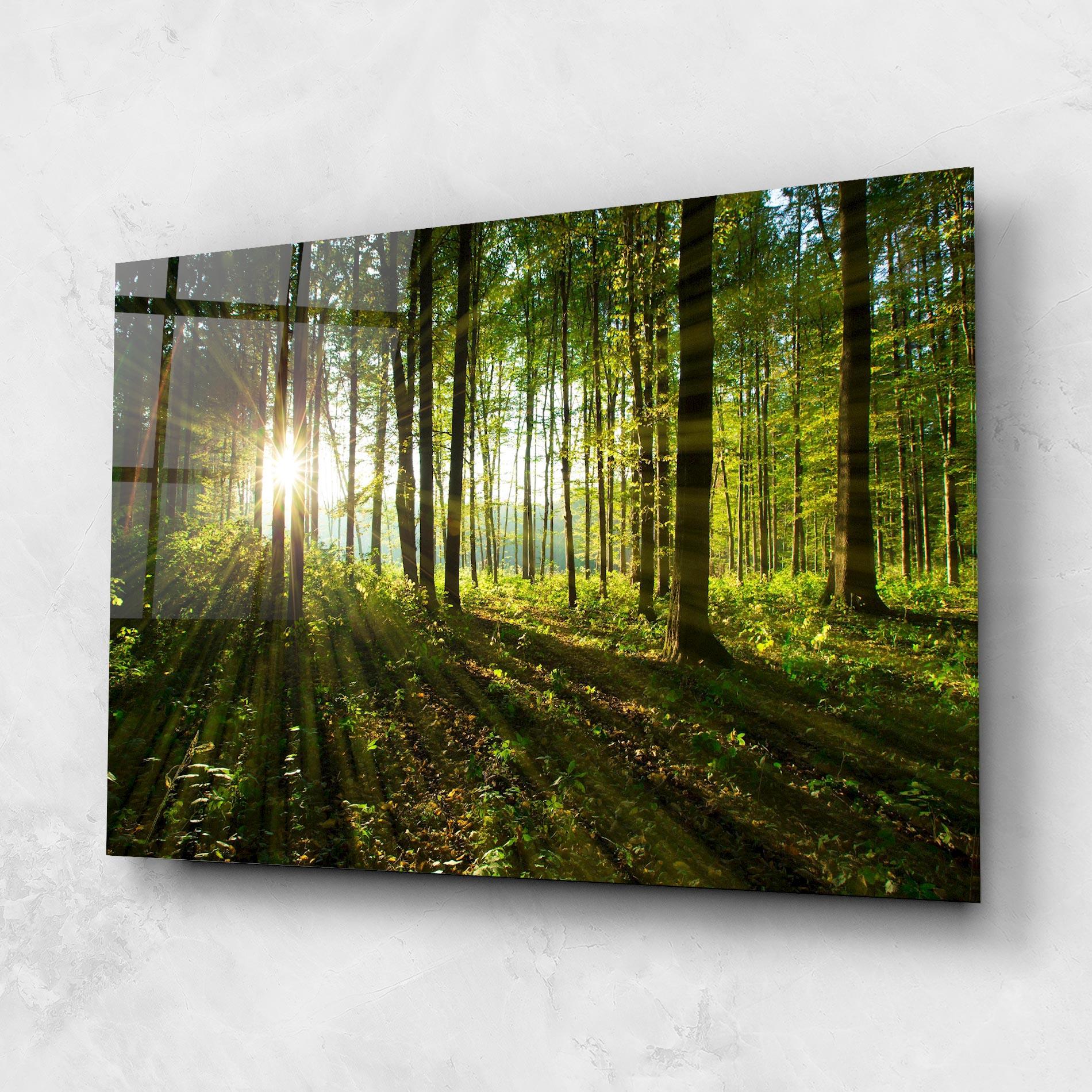 Tablou Sticla Green Light Forest mockup 1
