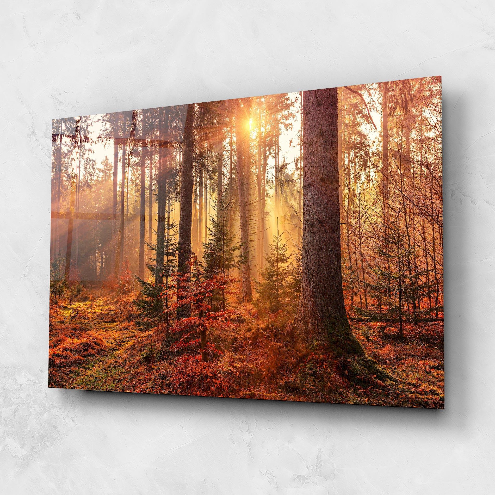 Tablou Sticla Orange Light Forest mockup 1