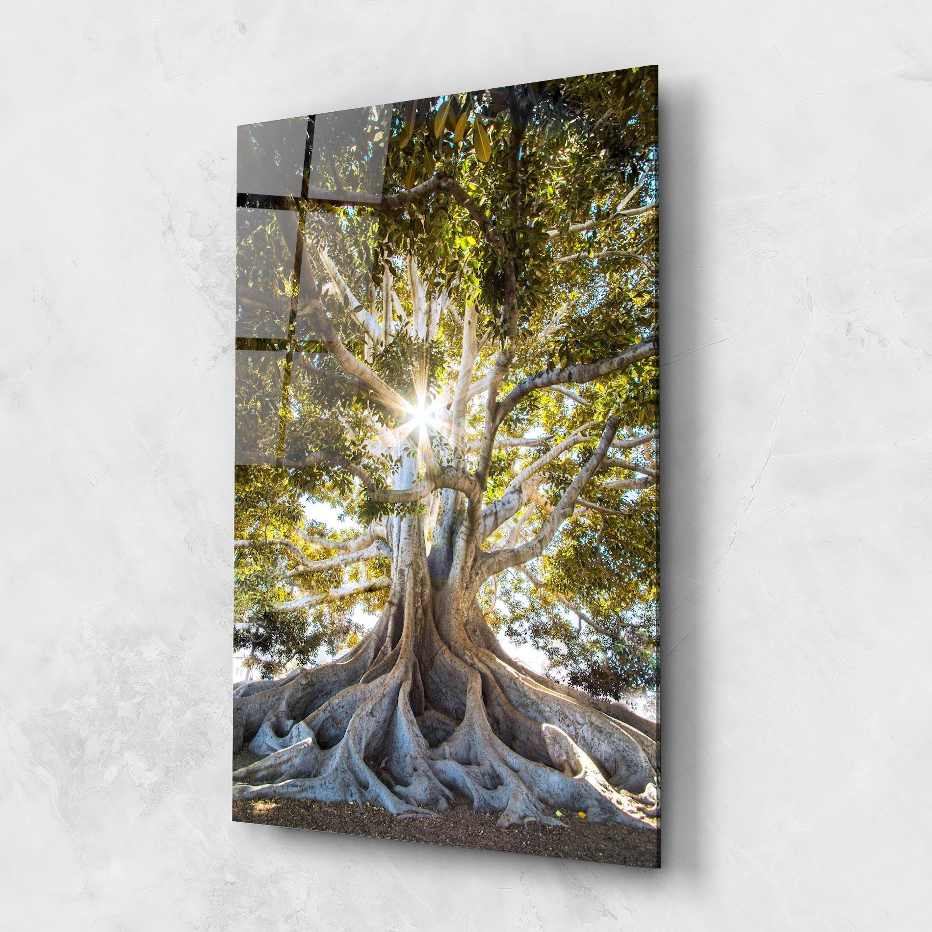 Tablou Sticla Big Old Tree mockup 1