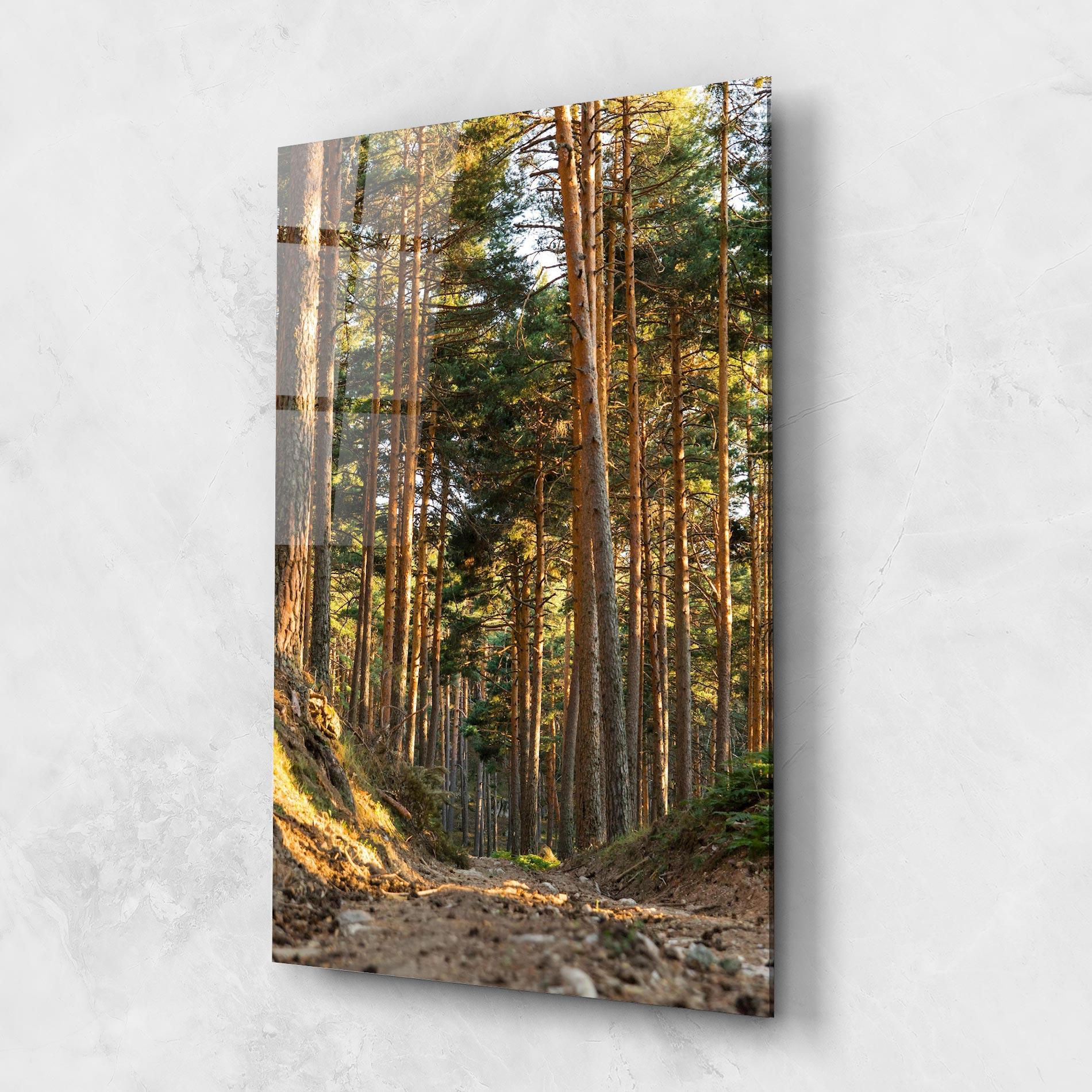 Tablou Sticla Big Trees Forest mockup 1