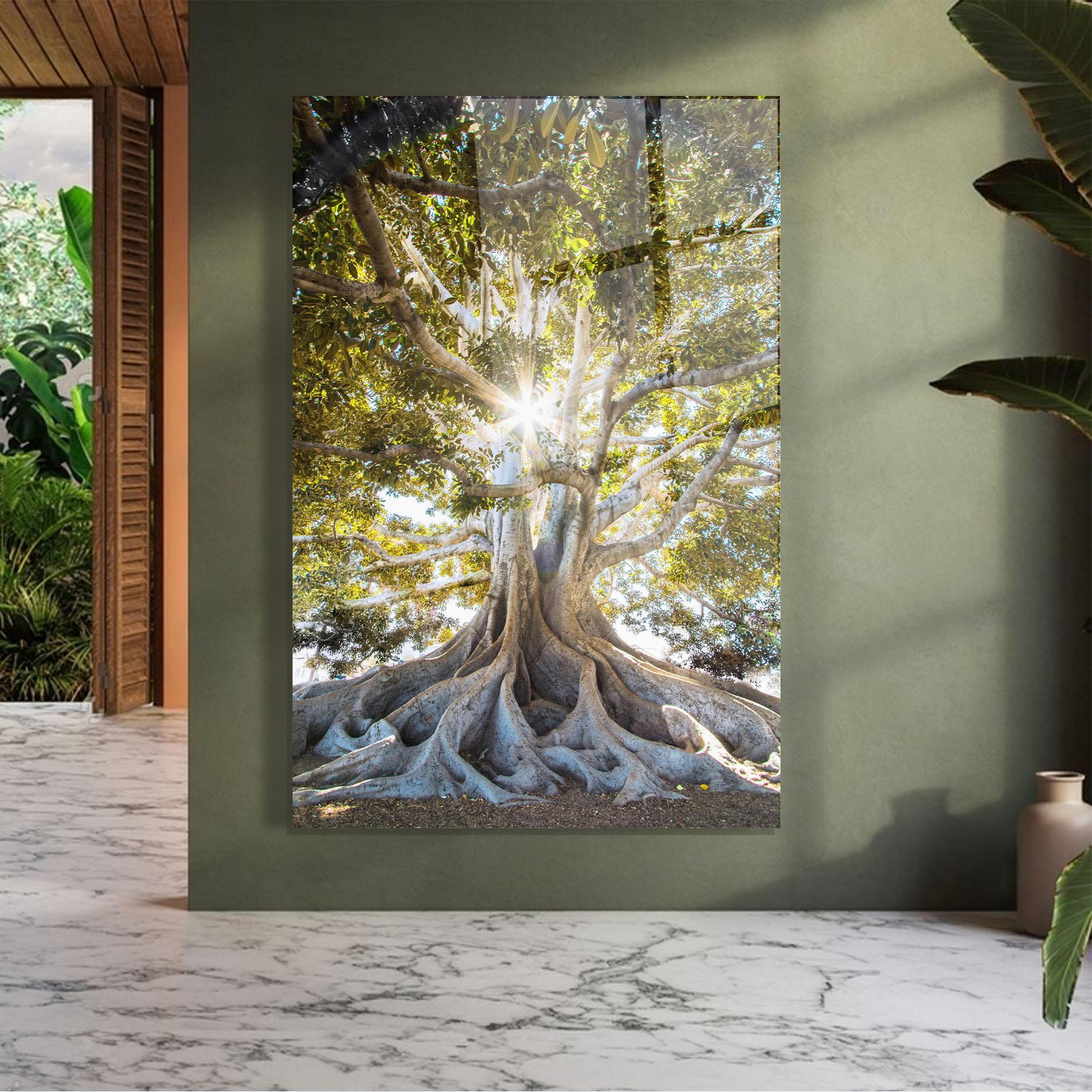 Tablou Sticla Big Old Tree mockup 7