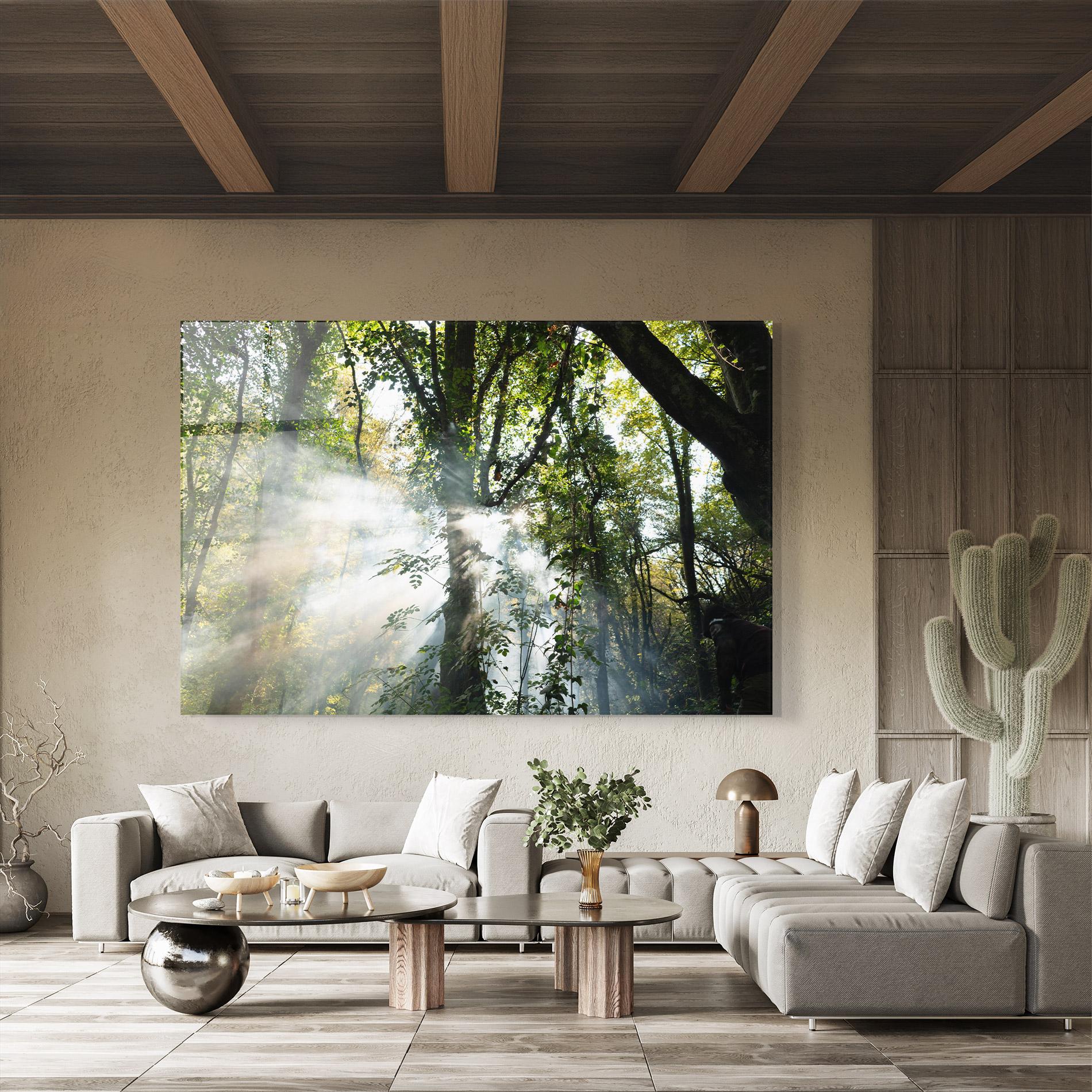 Tablou Sticla Foggy Light Forest mockup 8