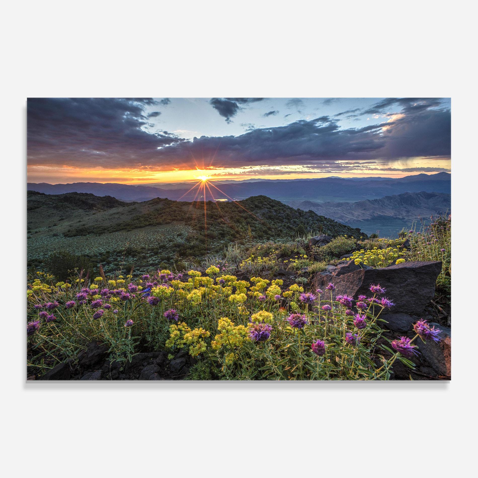 Tablou Sticla Beautiful Spring View mockup 0