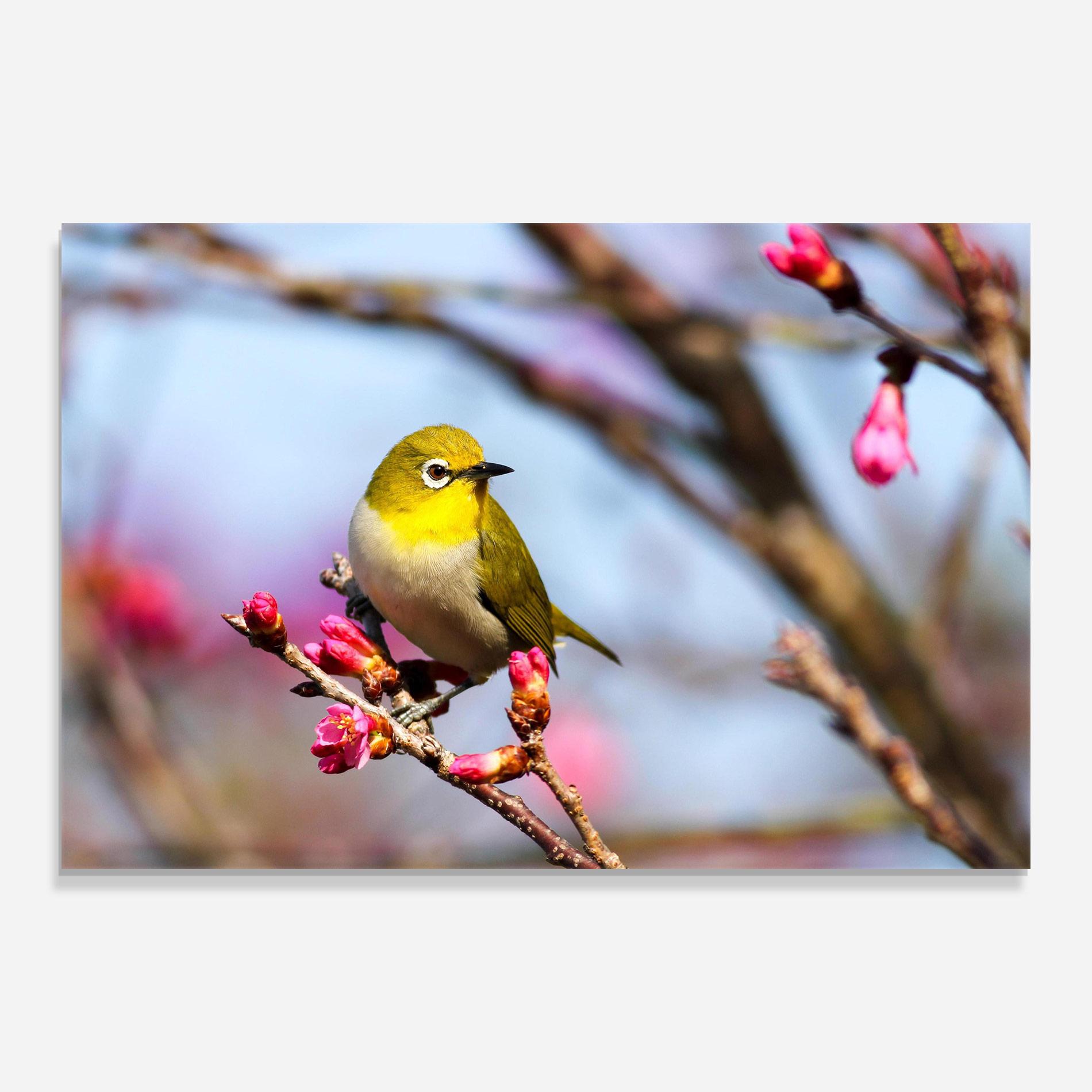 Tablou Sticla Cute Pink Flower Buds mockup 0