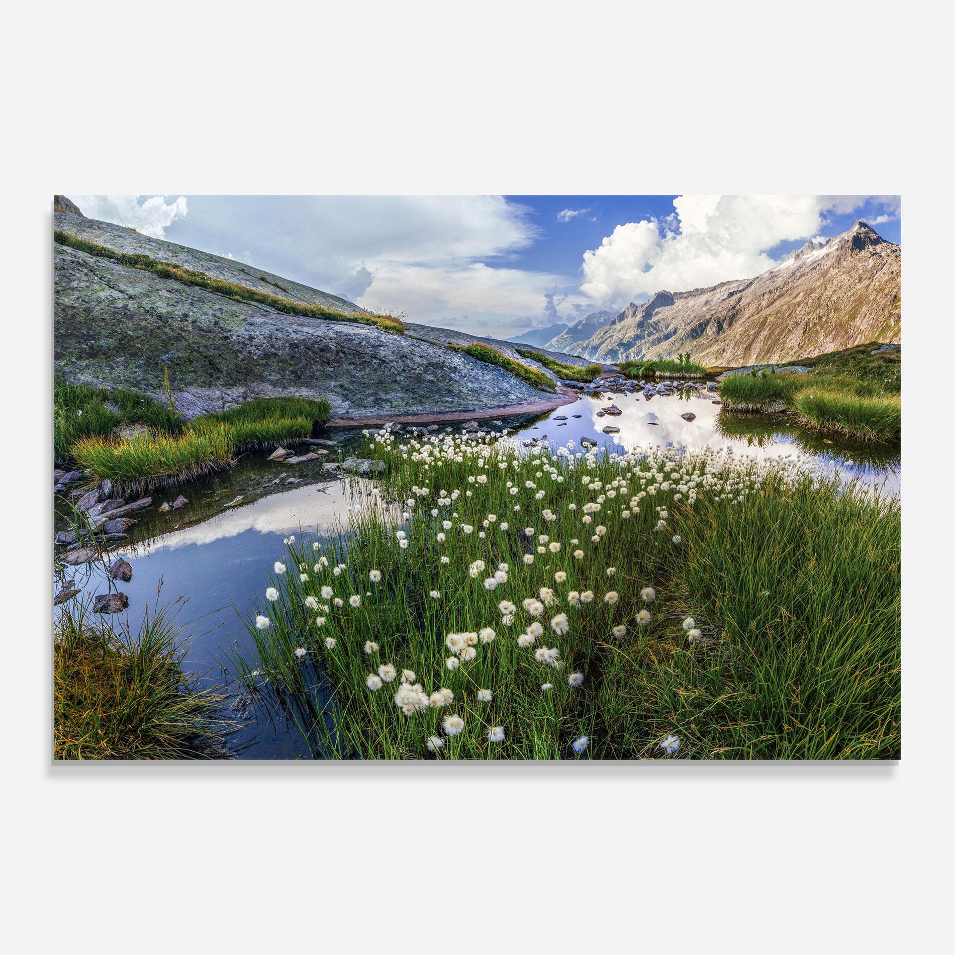 Tablou Sticla Lake Spring View mockup 0