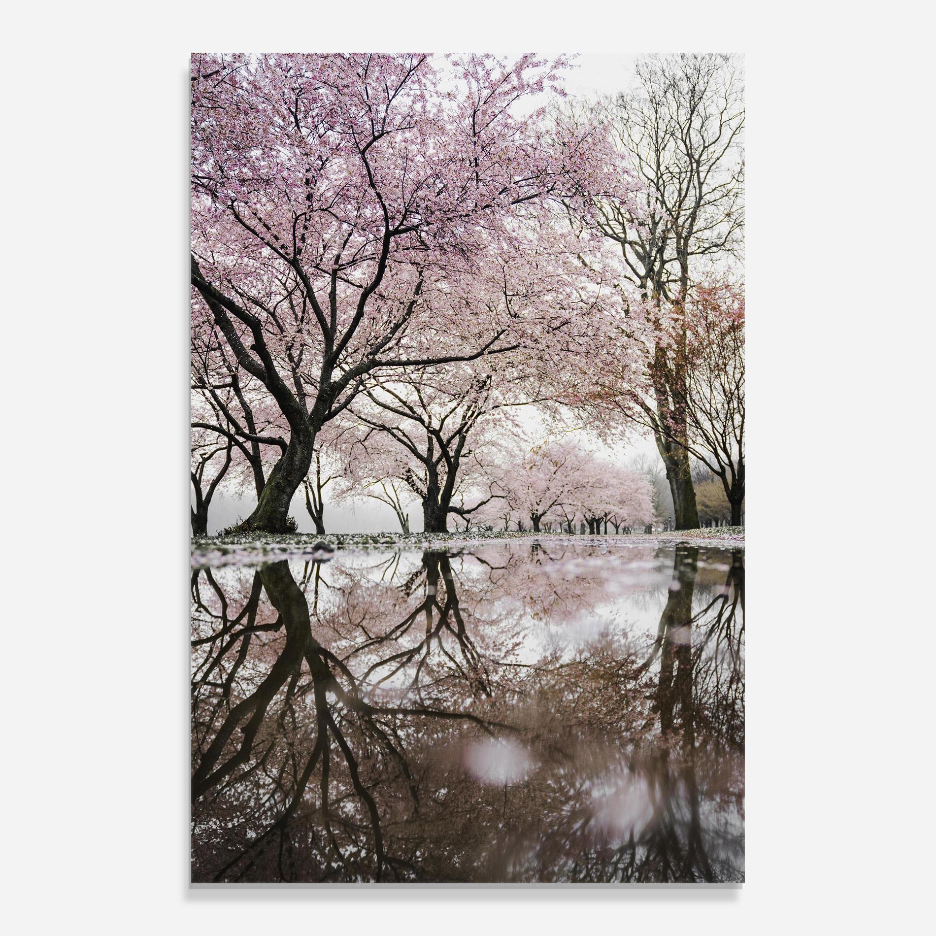 Tablou Sticla Pretty Pink Spring Tree mockup 0