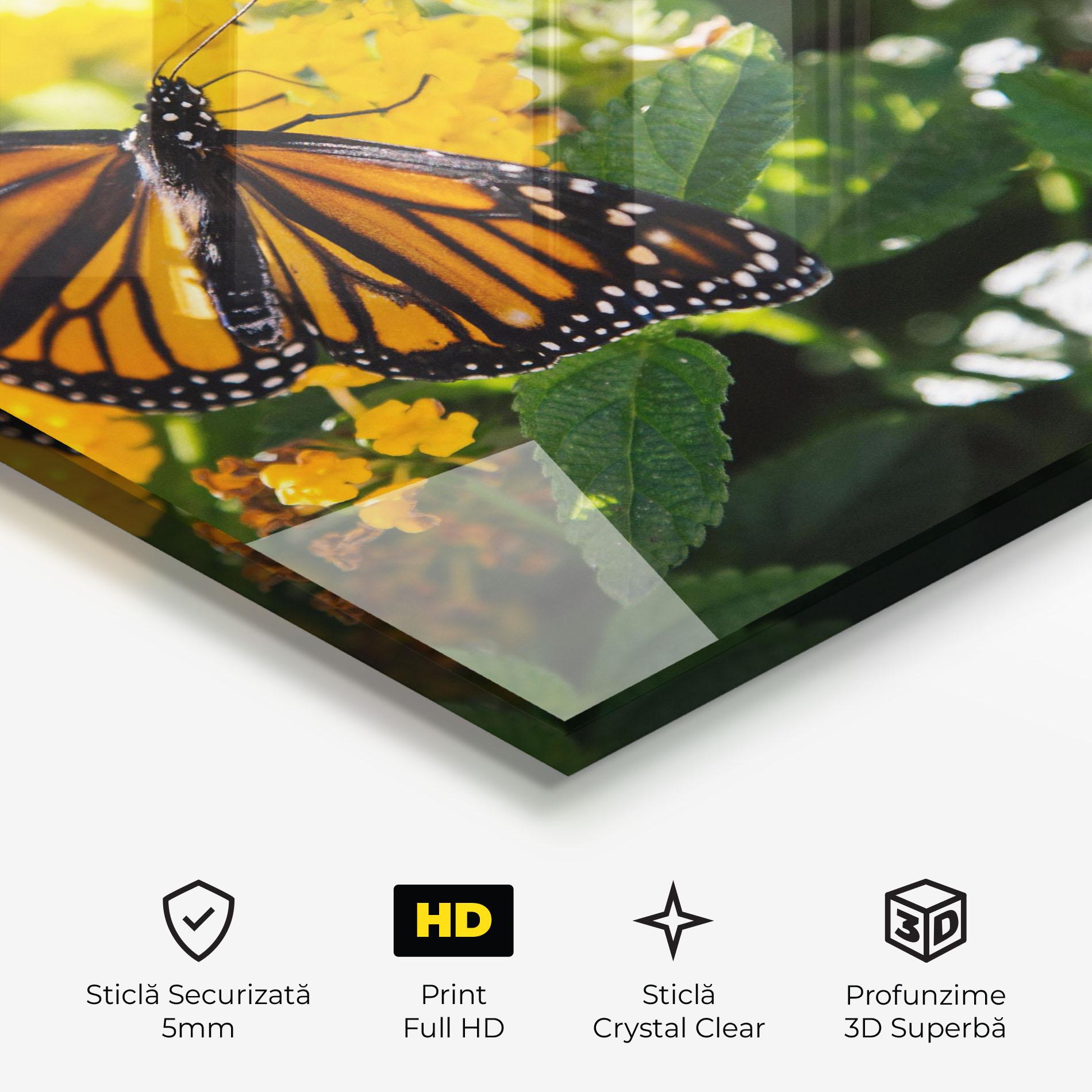 Tablou Sticla Orange Spring Butterfly mockup 3