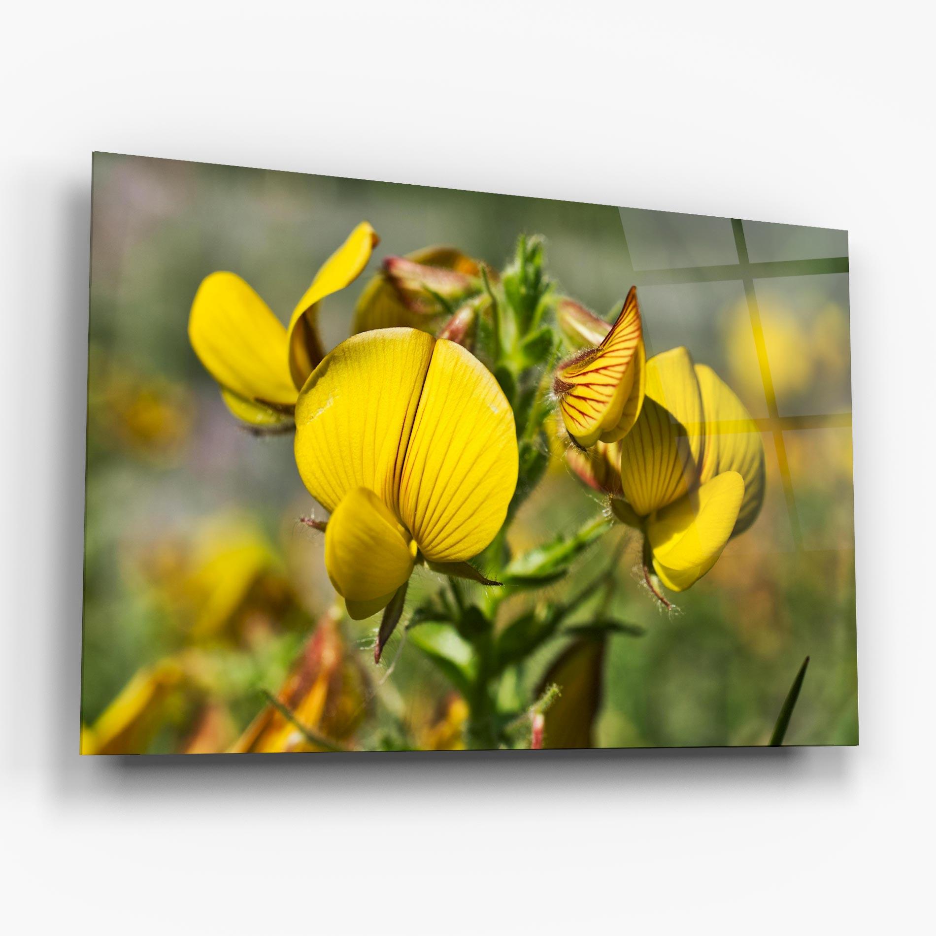 Tablou Sticla Pretty Spring Yellow Flower mockup 6