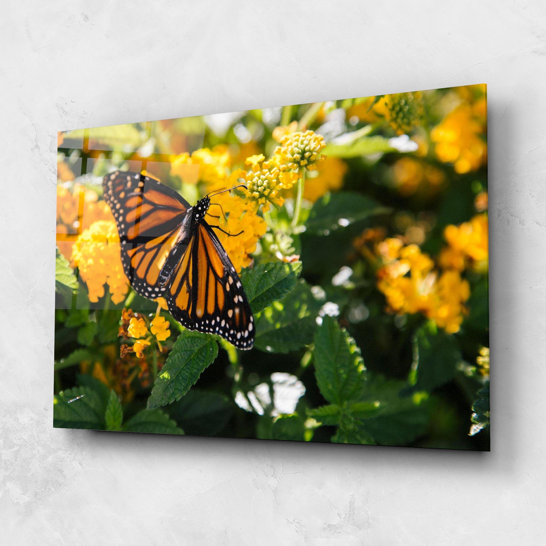 Tablou Sticla Orange Spring Butterfly mockup 1