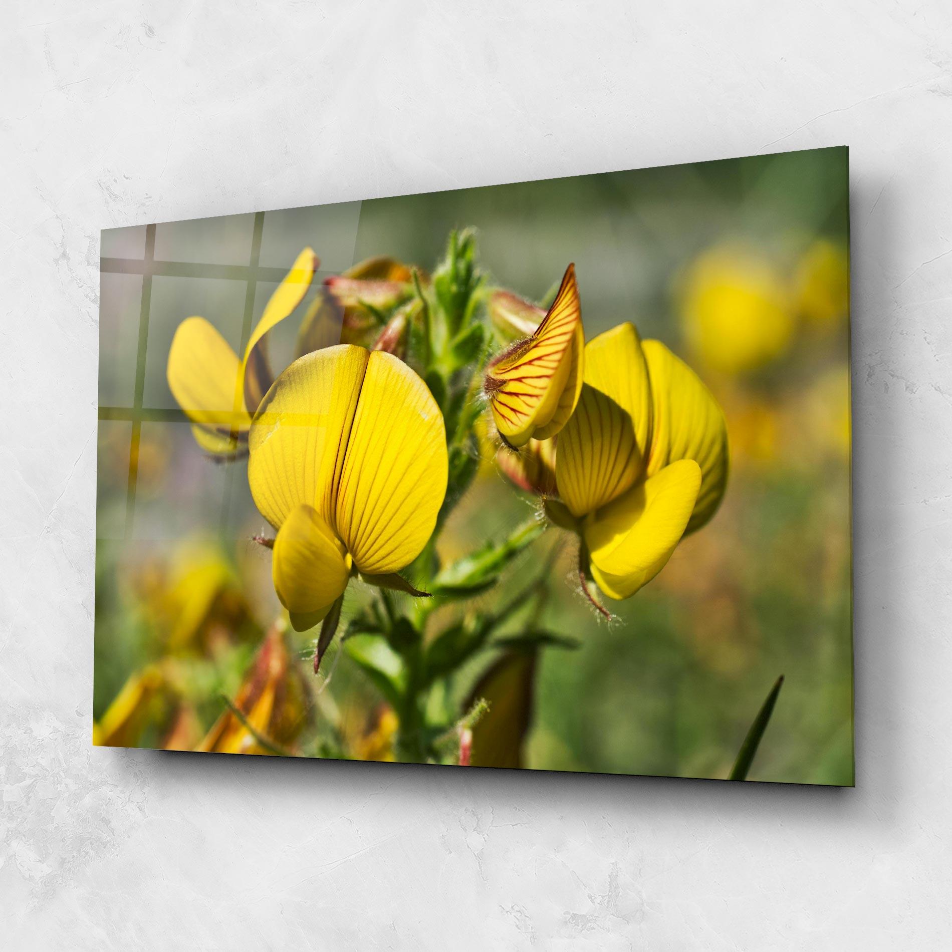 Tablou Sticla Pretty Spring Yellow Flower mockup 1
