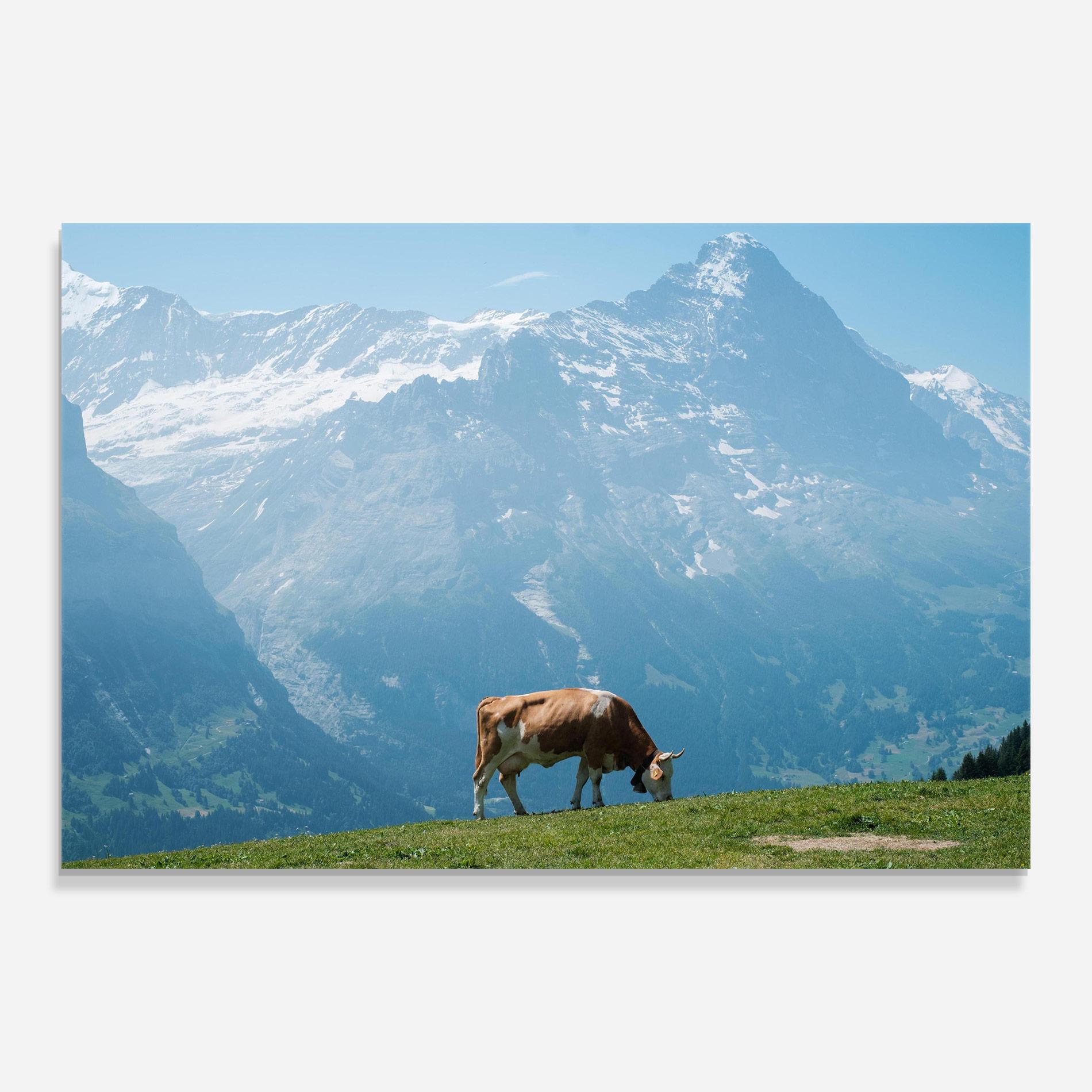 Tablou Sticla Cow Mountain mockup 0