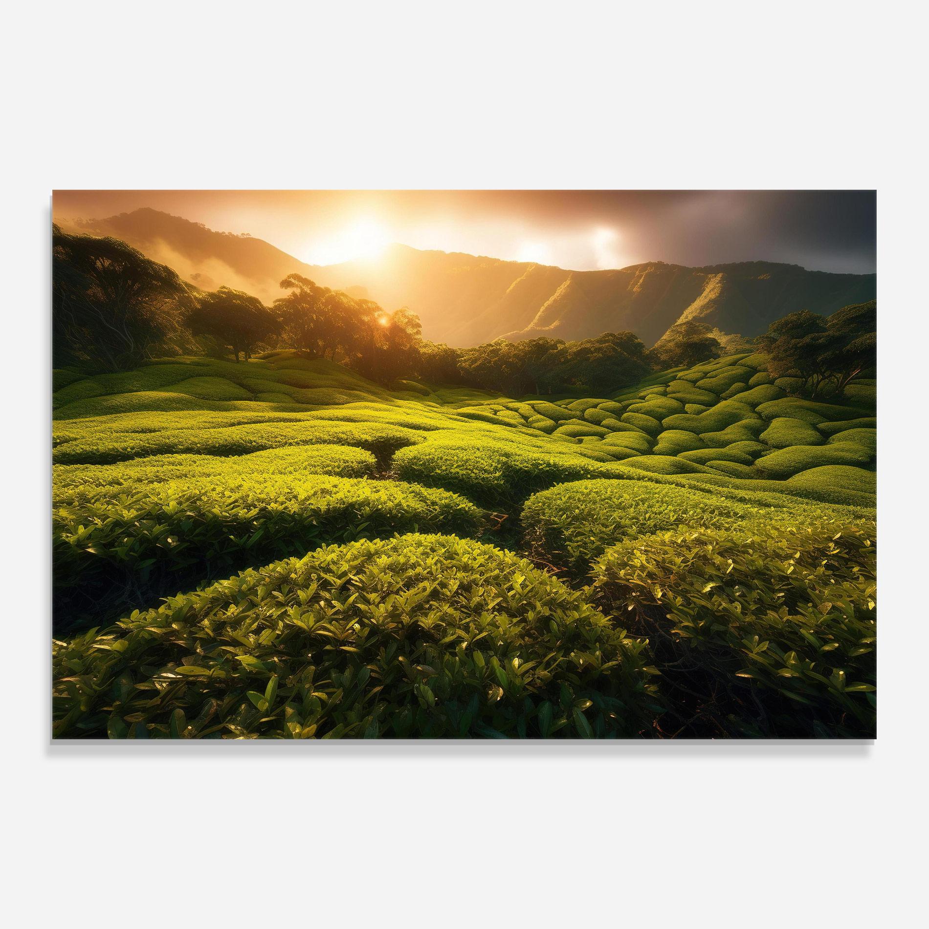 Tablou Sticla Tea Fields mockup 0