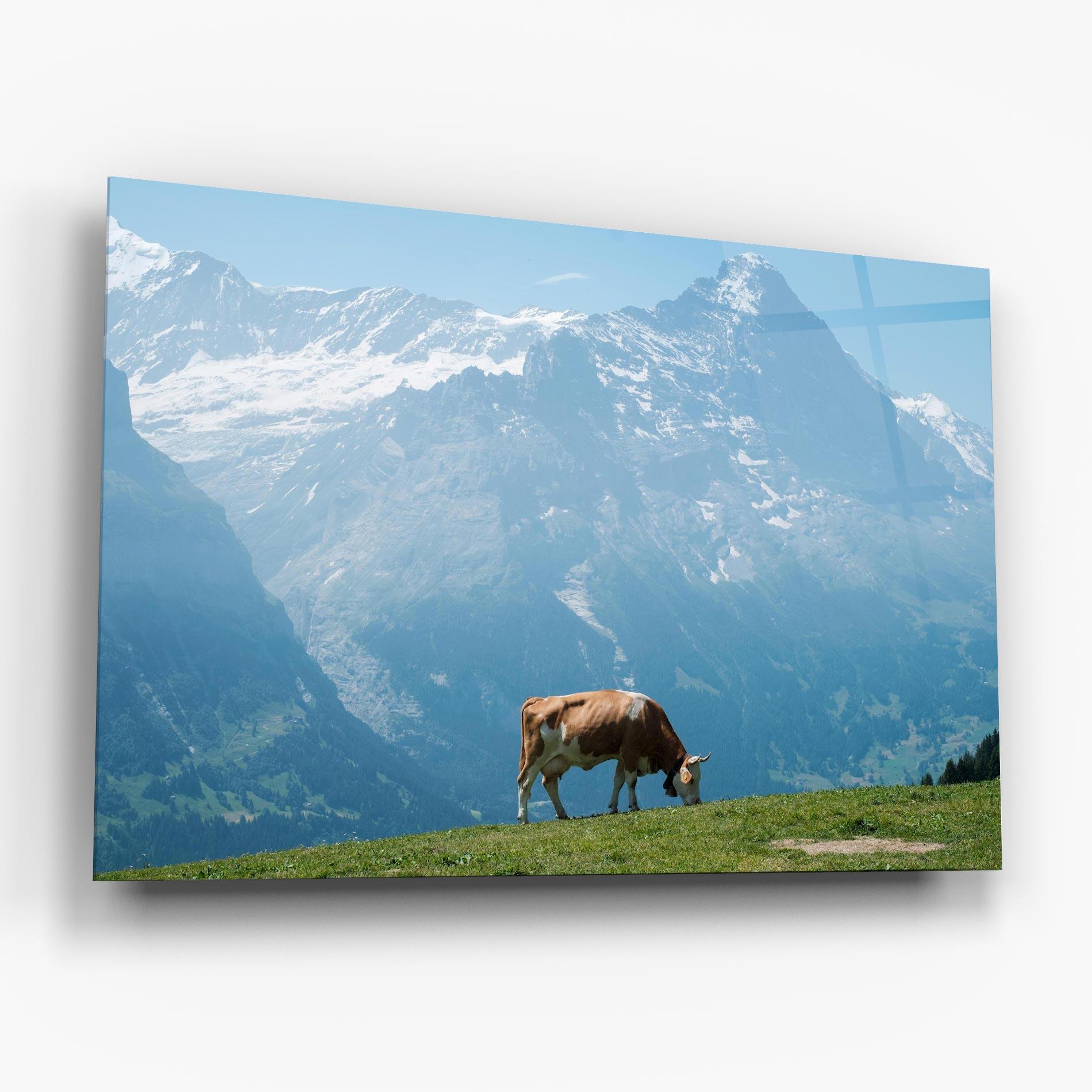 Tablou Sticla Cow Mountain mockup 6