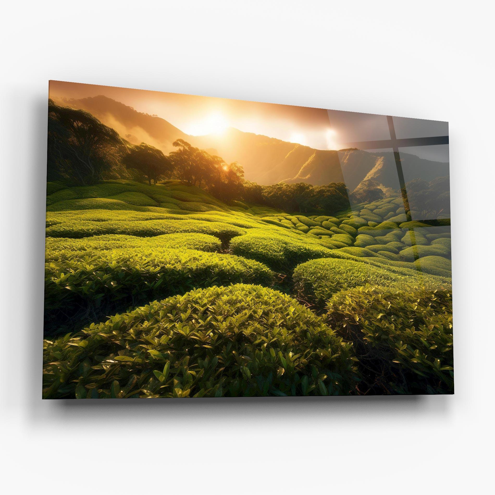 Tablou Sticla Tea Fields mockup 6