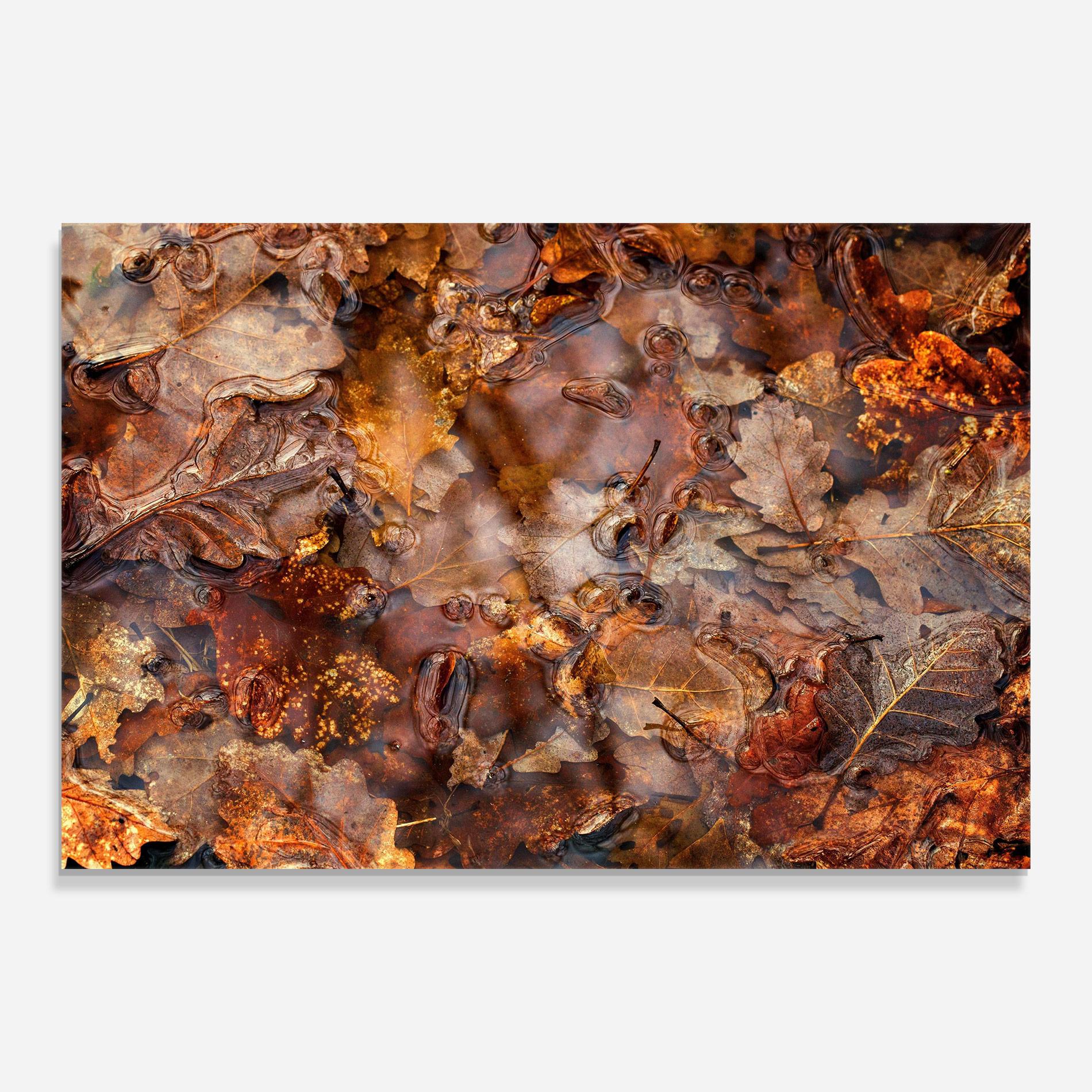 Tablou Sticla Brown mockup 0