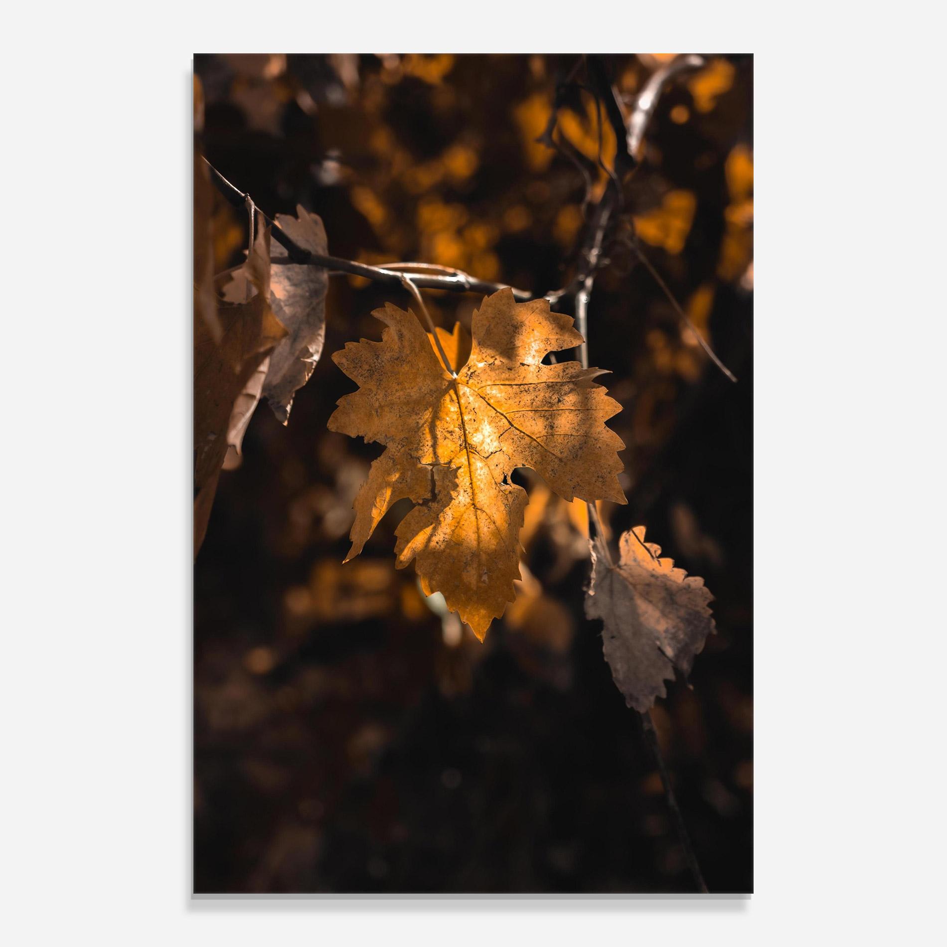 Tablou Sticla Autumn Brown Leaf mockup 0