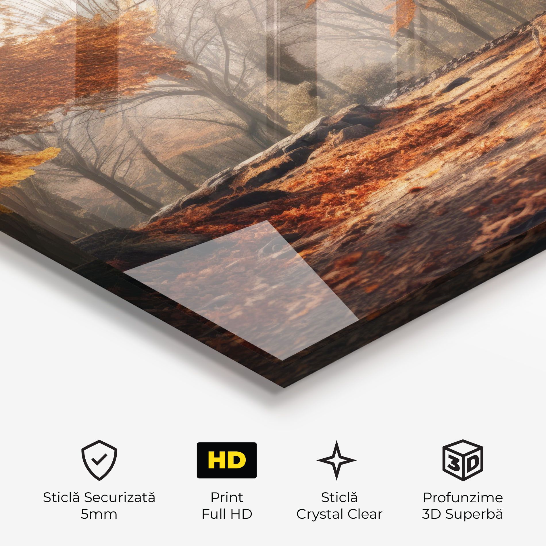 Autumn Forest mockup 3