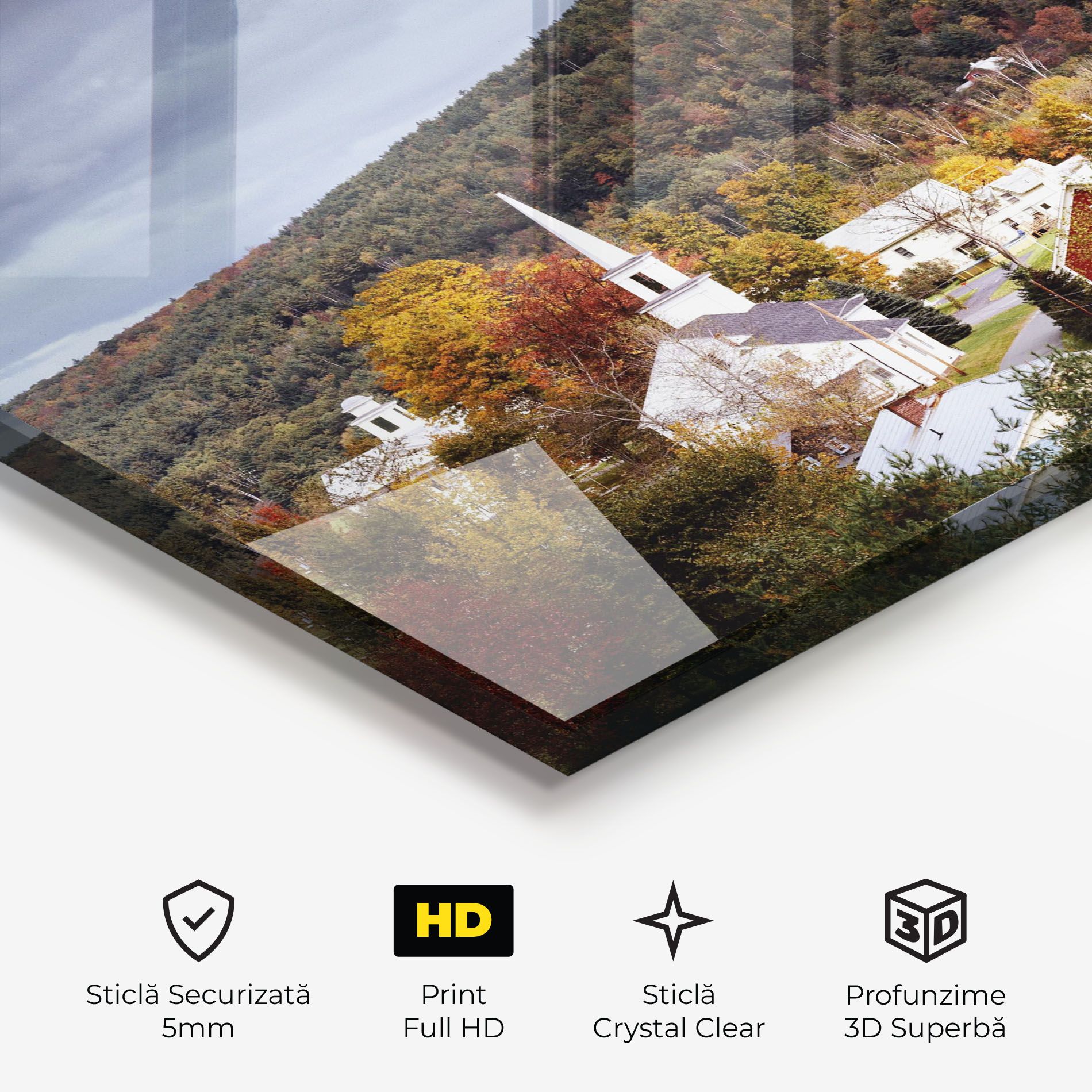 Autumn Trees mockup 3