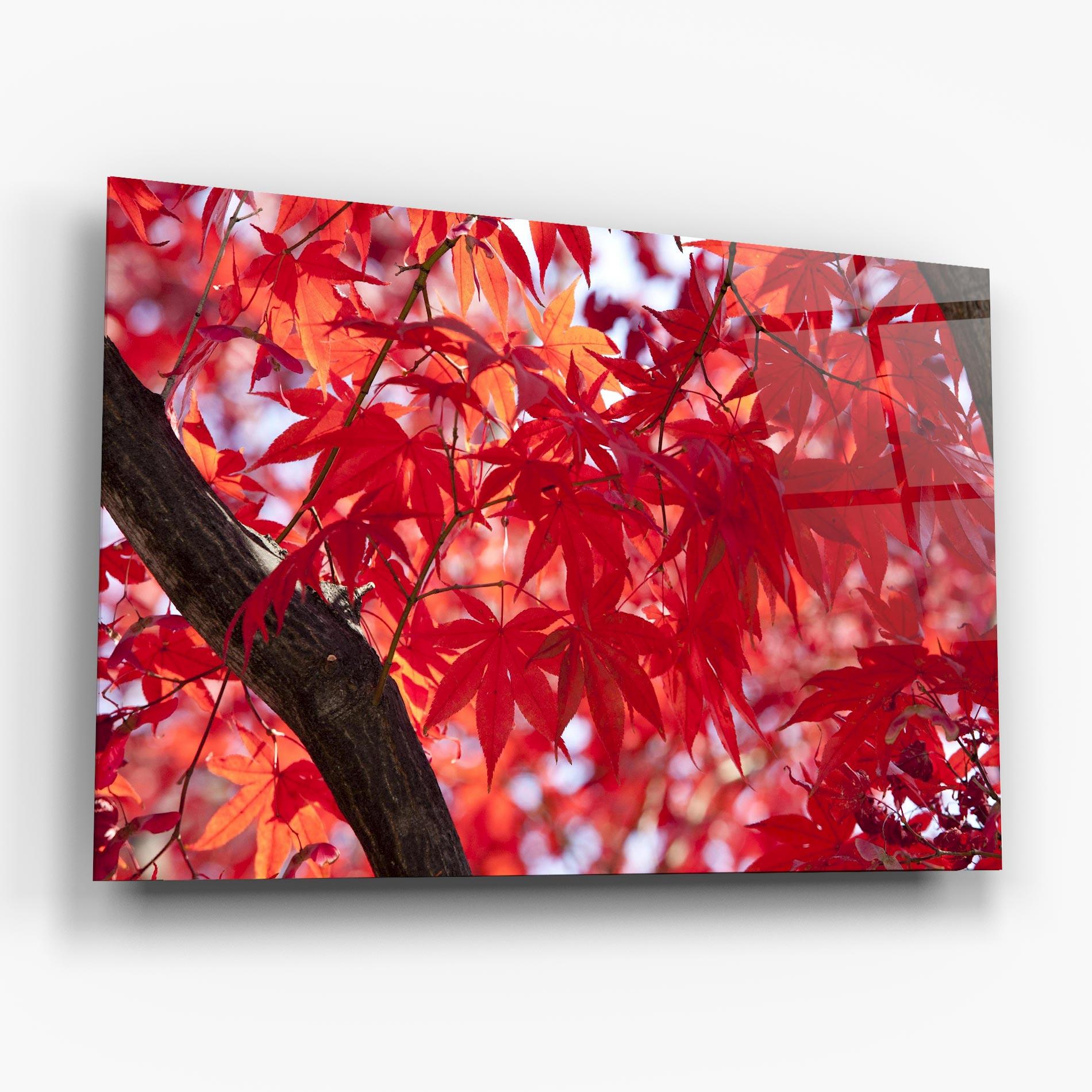 Tablou Sticla Pretty Red Leaves mockup 6