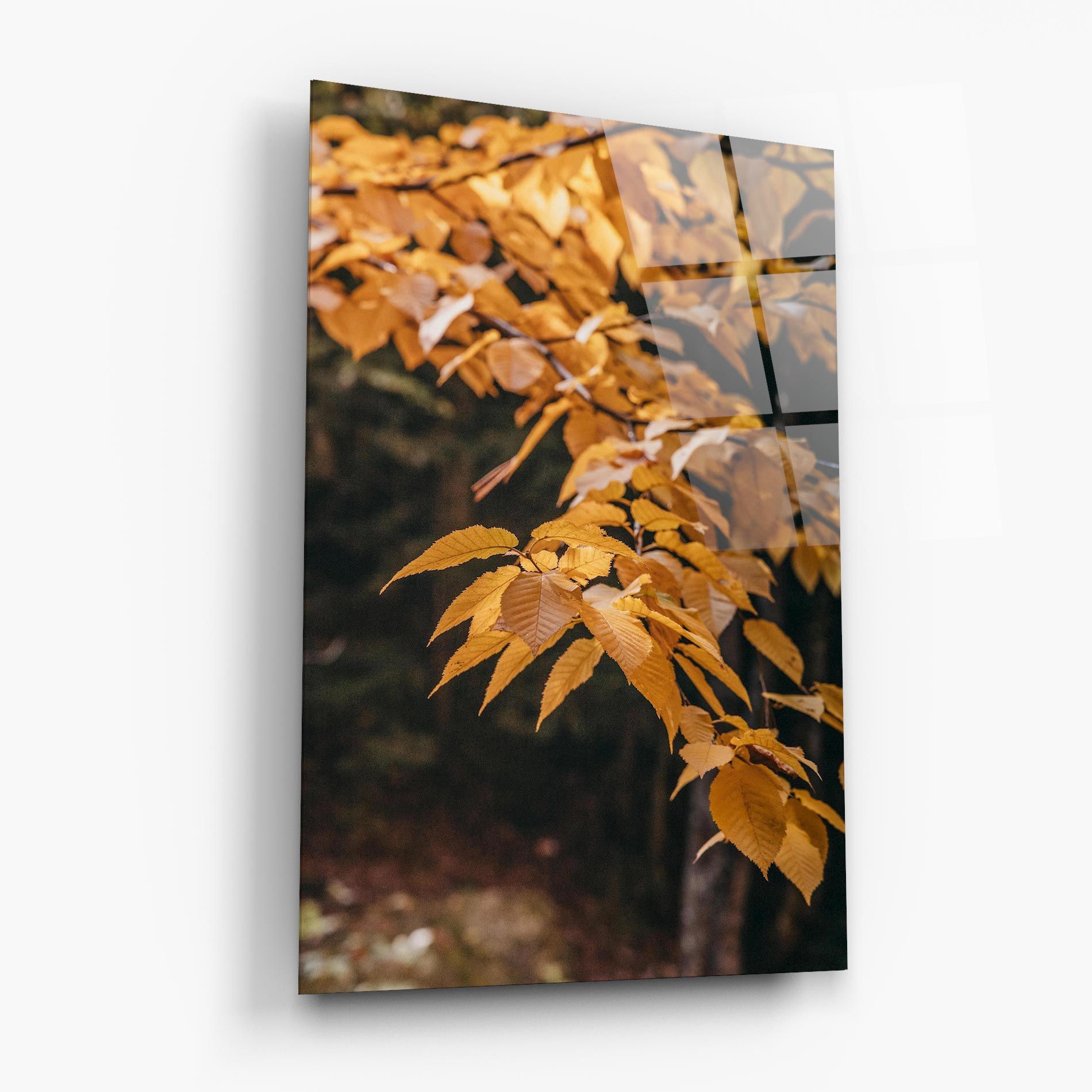 Autumn Nature mockup 6