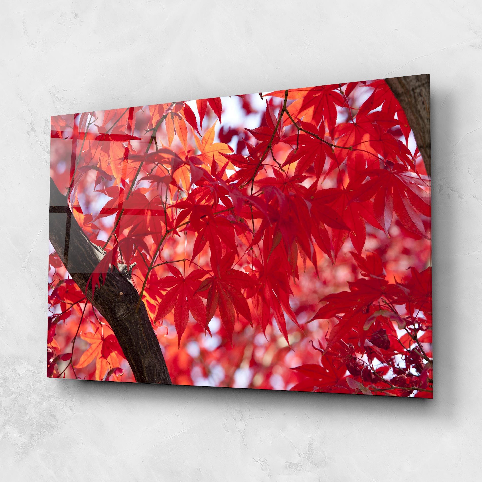 Pretty Red Leaves mockup 1