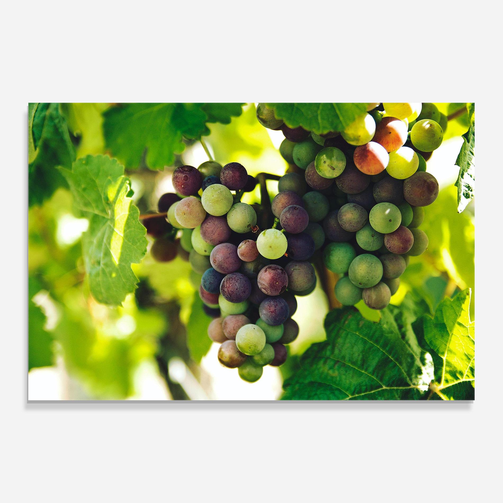 Tablou Sticla Green Grapes mockup 0