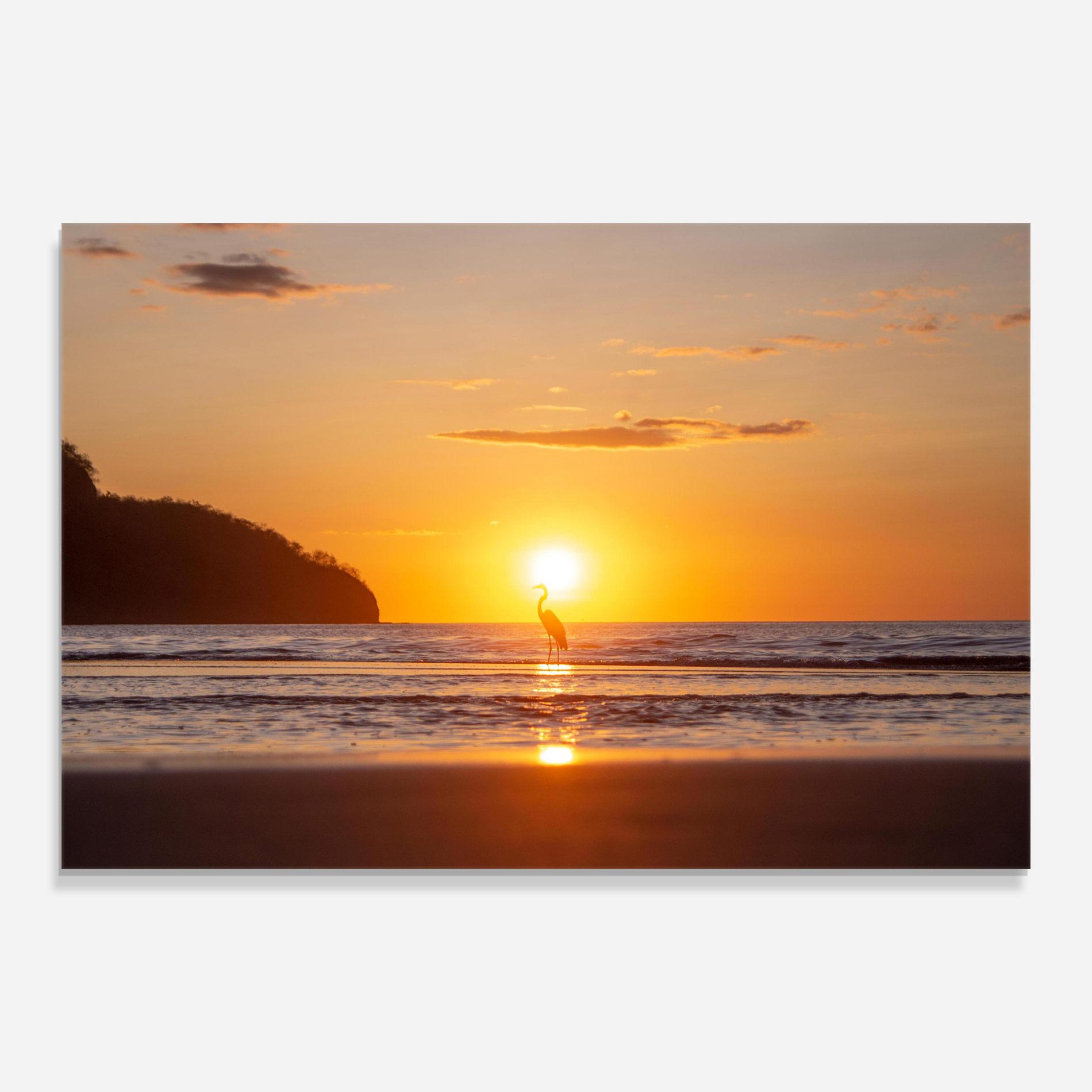 Tablou Sticla Sunset Bird Silhouette mockup 0