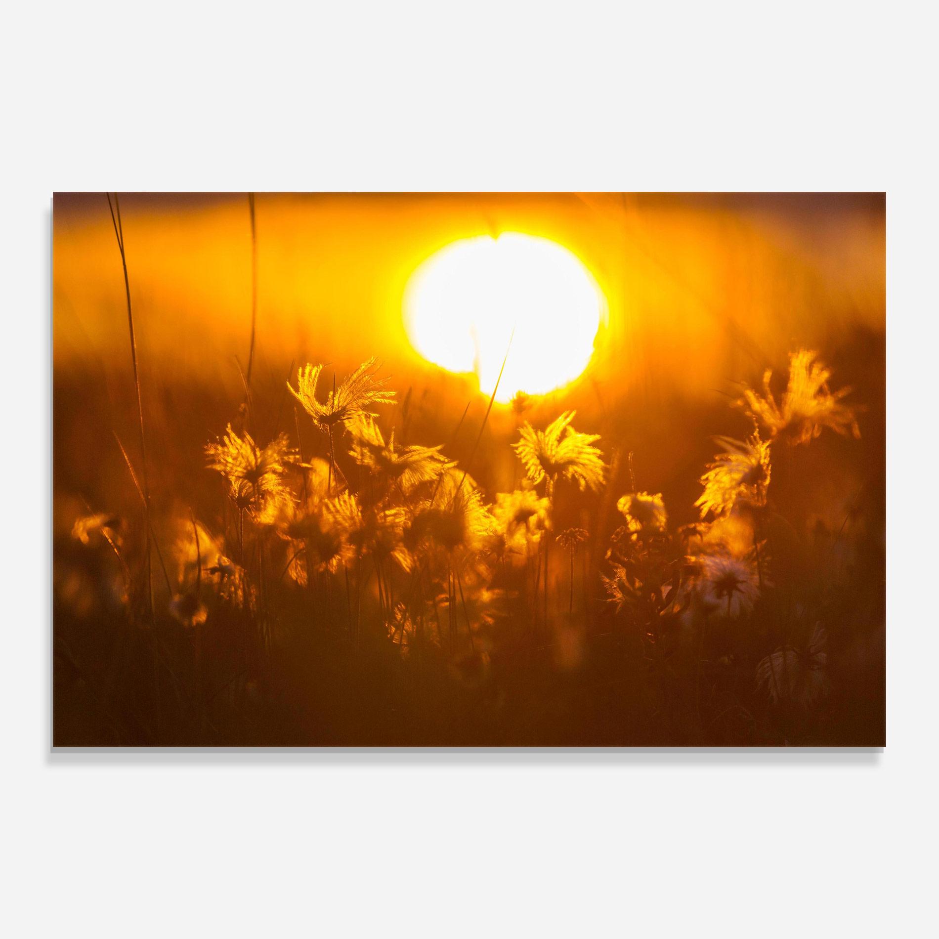Tablou Sticla Wildflowers mockup 0