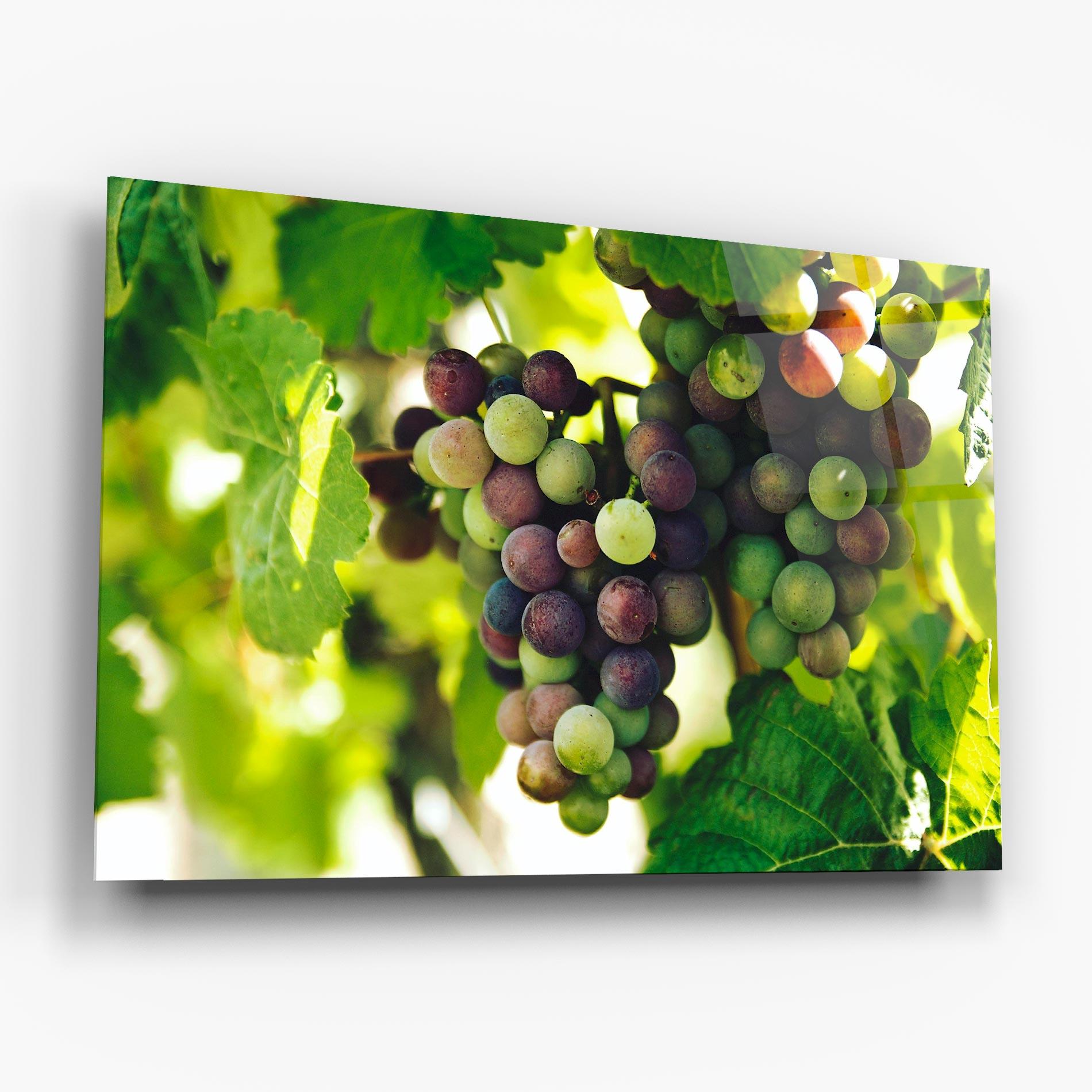 Tablou Sticla Green Grapes mockup 6