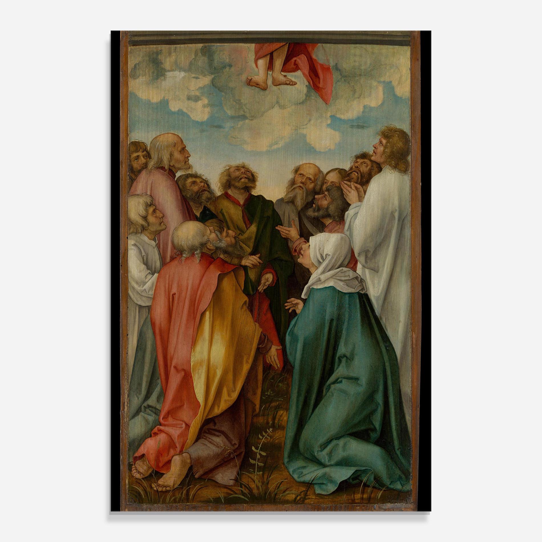 Tablou Sticla Falling From Sky mockup 0