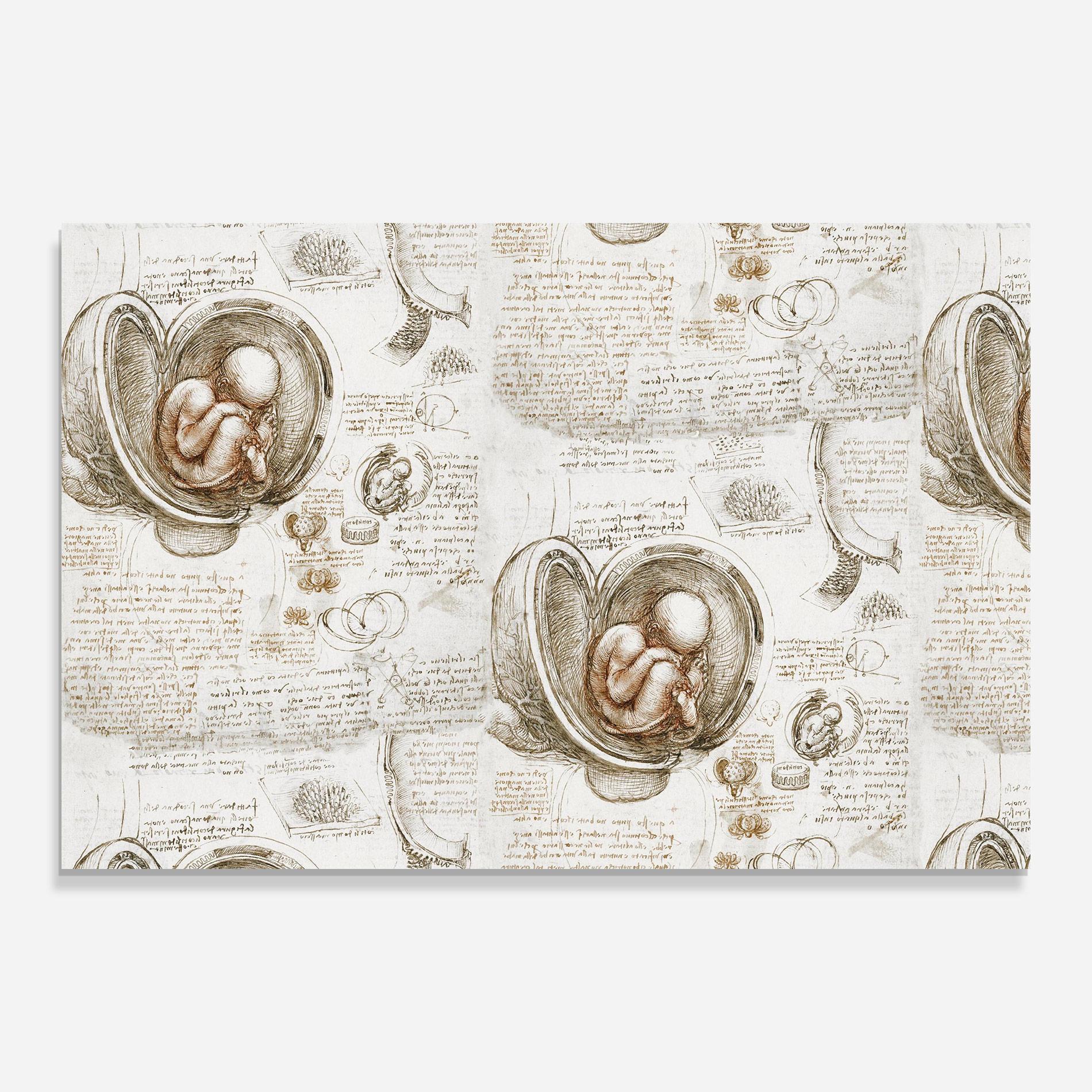 Tablou Sticla Leonardo Studies Of The Foetus mockup 0