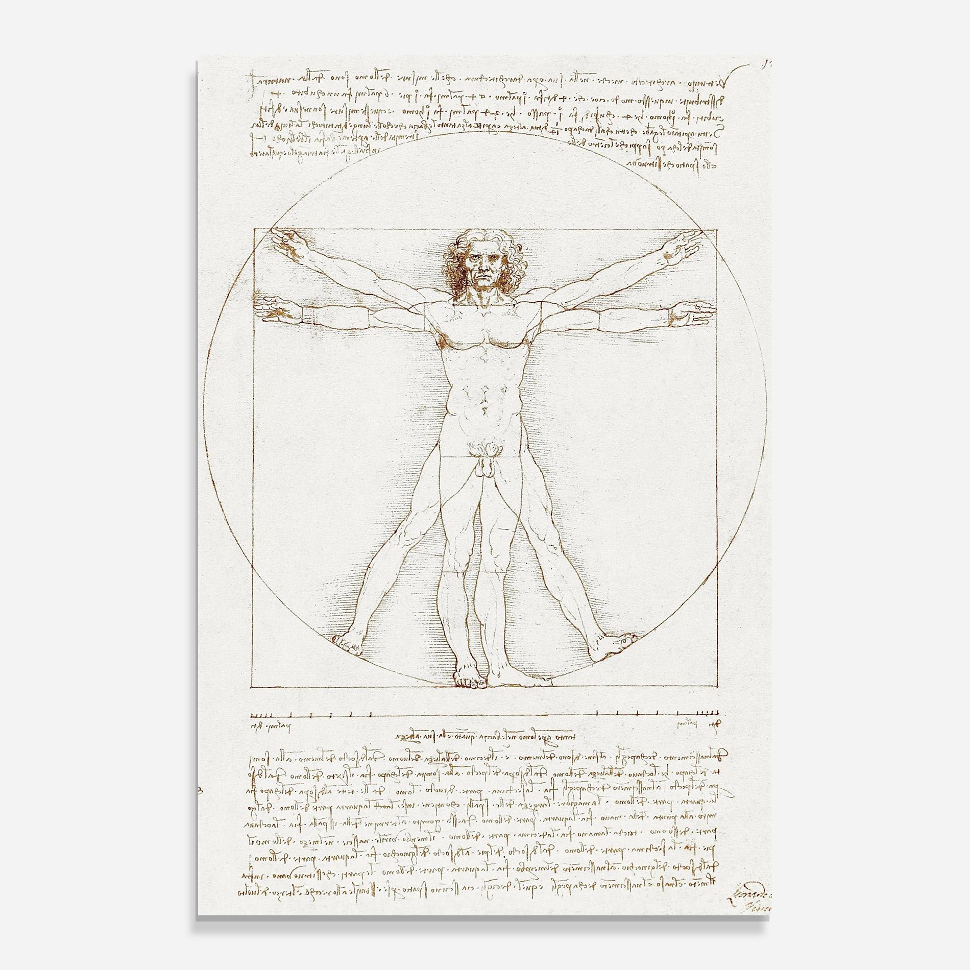 Tablou Sticla Leonardo Da Vinci's Vitruvian Man mockup 0