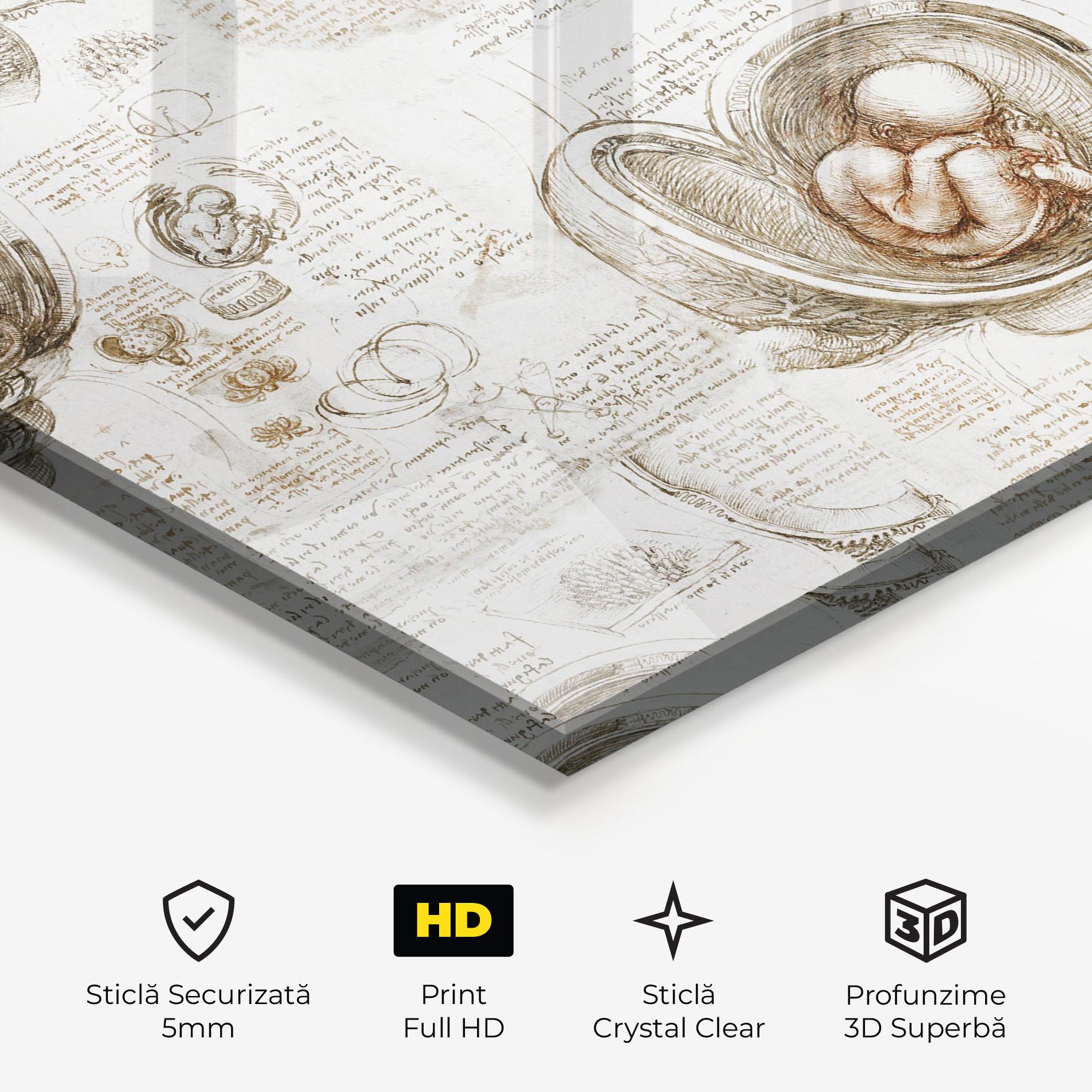 Tablou Sticla Leonardo Studies Of The Foetus mockup 3