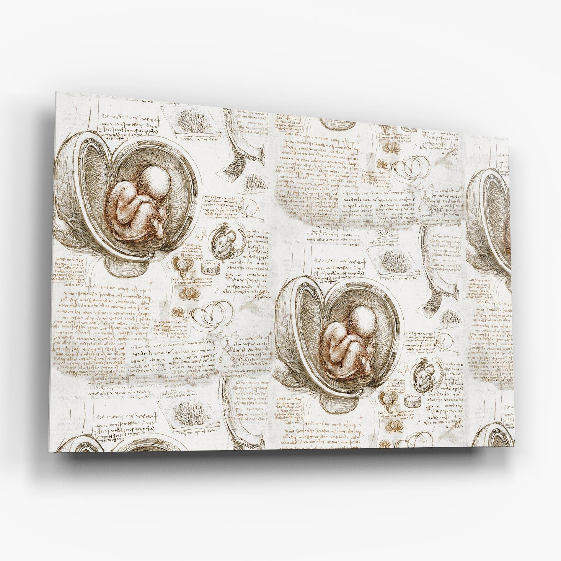 Tablou Sticla Leonardo Studies Of The Foetus mockup 6