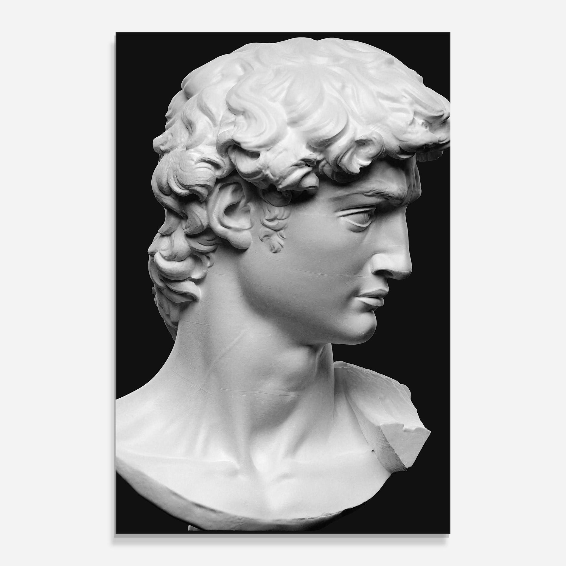 Tablou Sticla David Head mockup 0