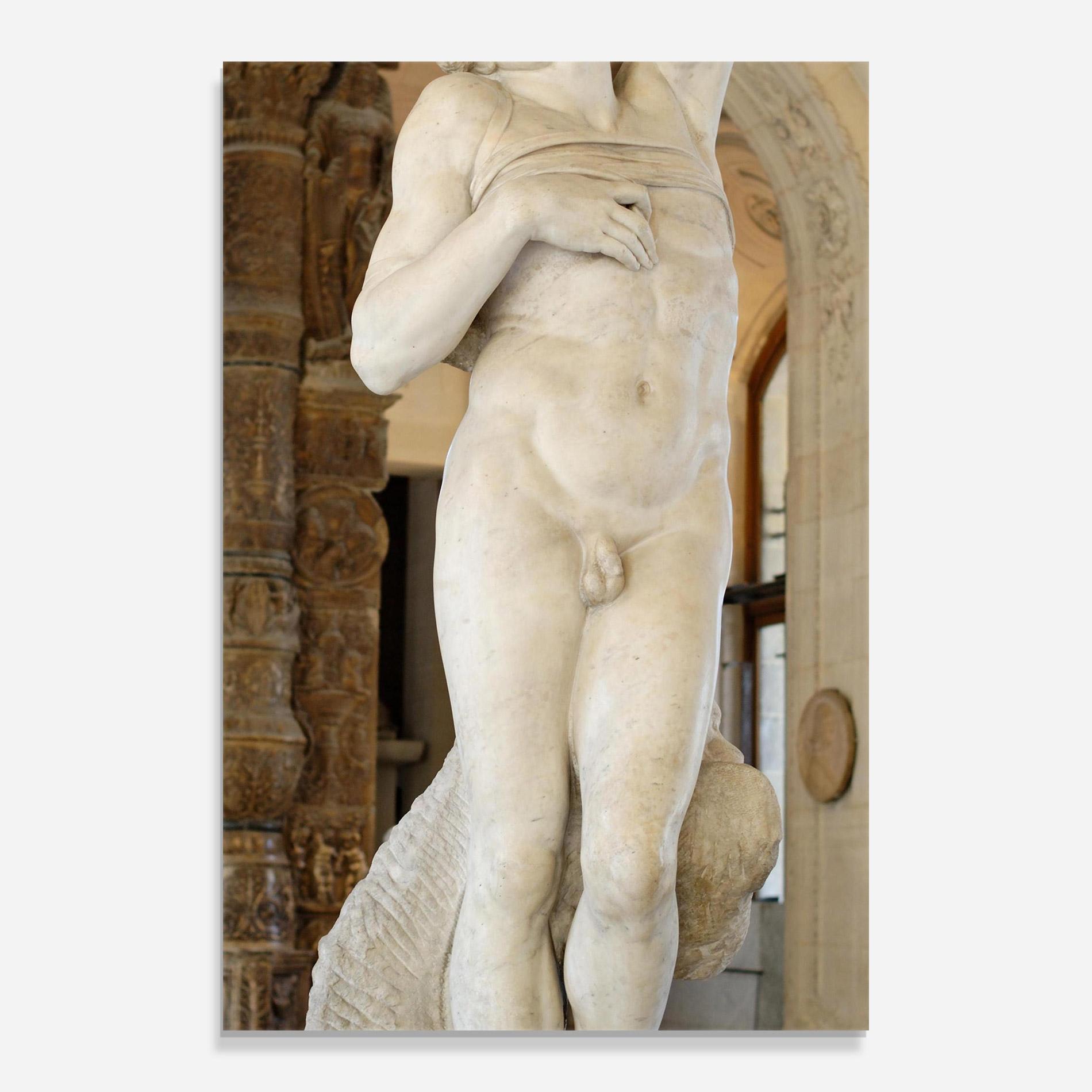 Tablou Sticla Dying Slave mockup 0