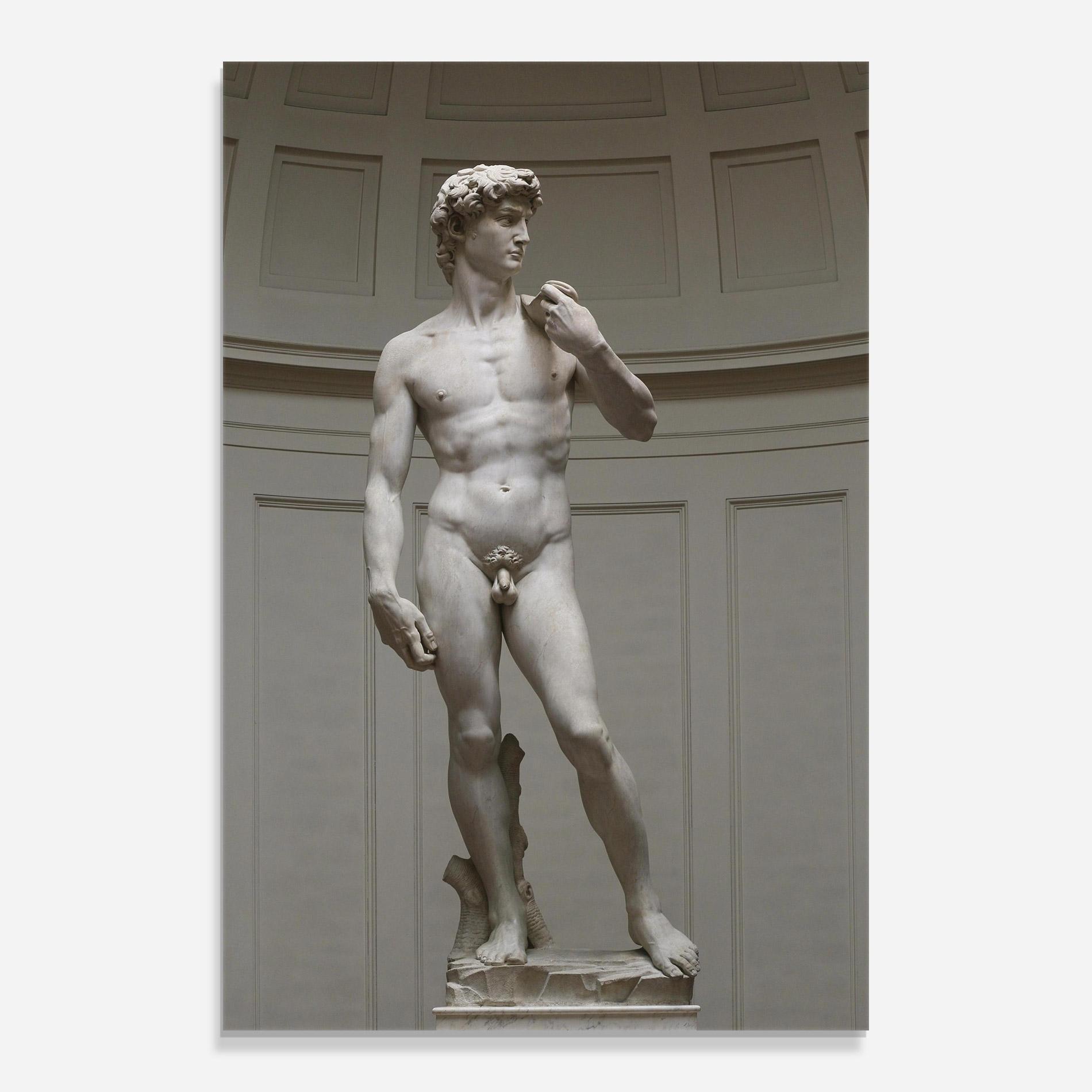 Tablou Sticla Michelangelo Statue mockup 0