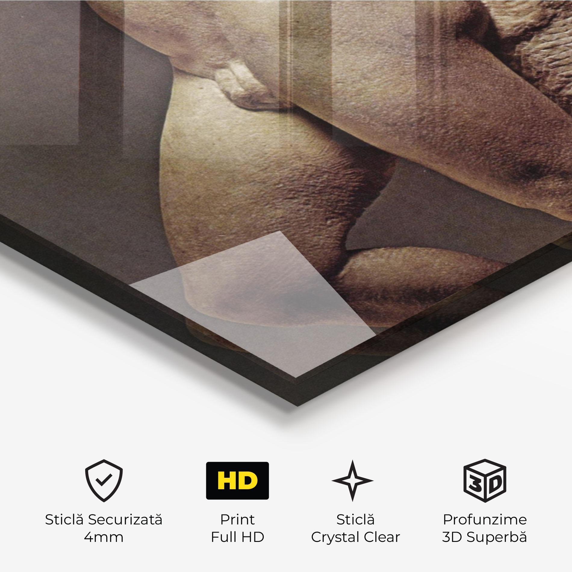 Tablou Sticla Apollino mockup 3