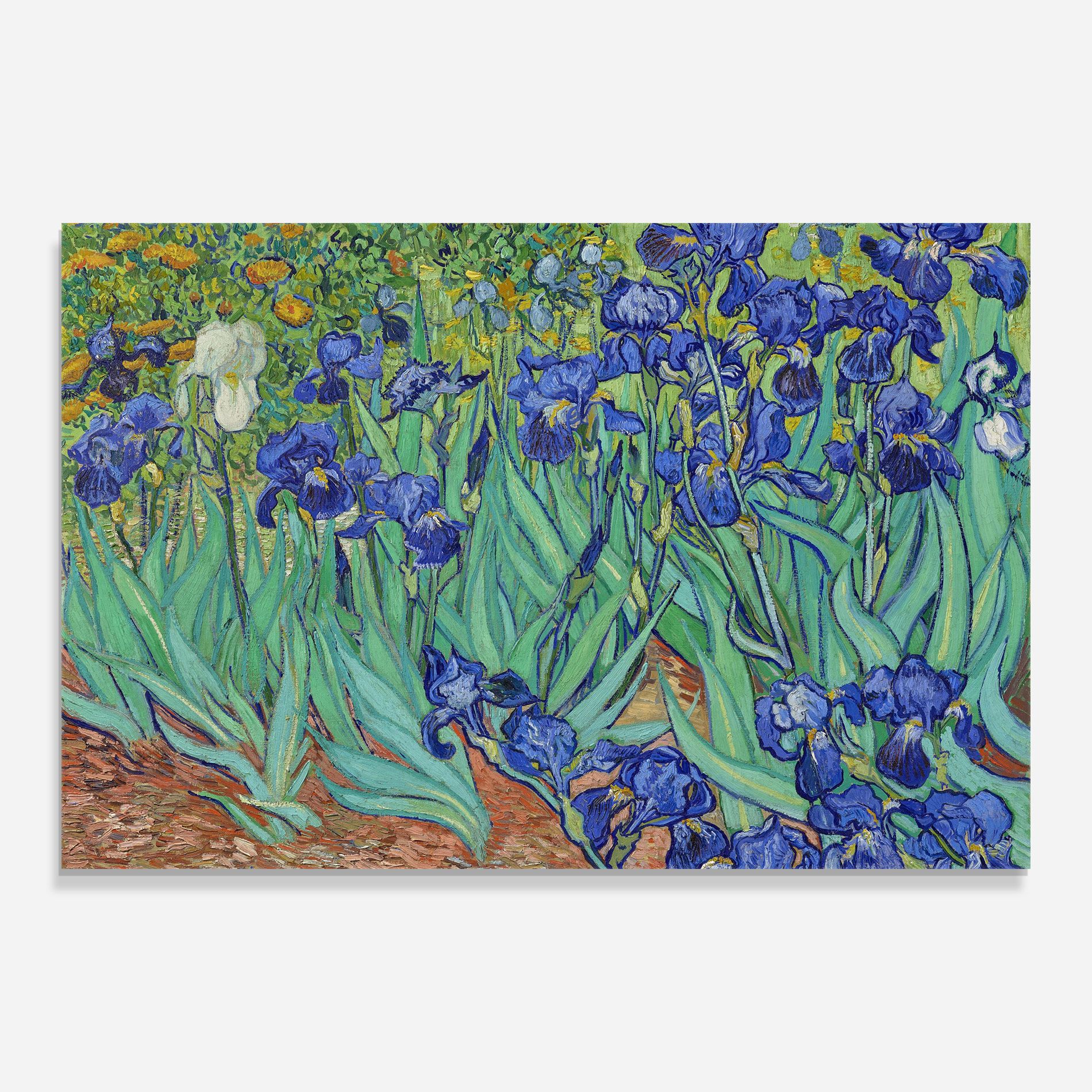 Irises Van Gogh mockup 0